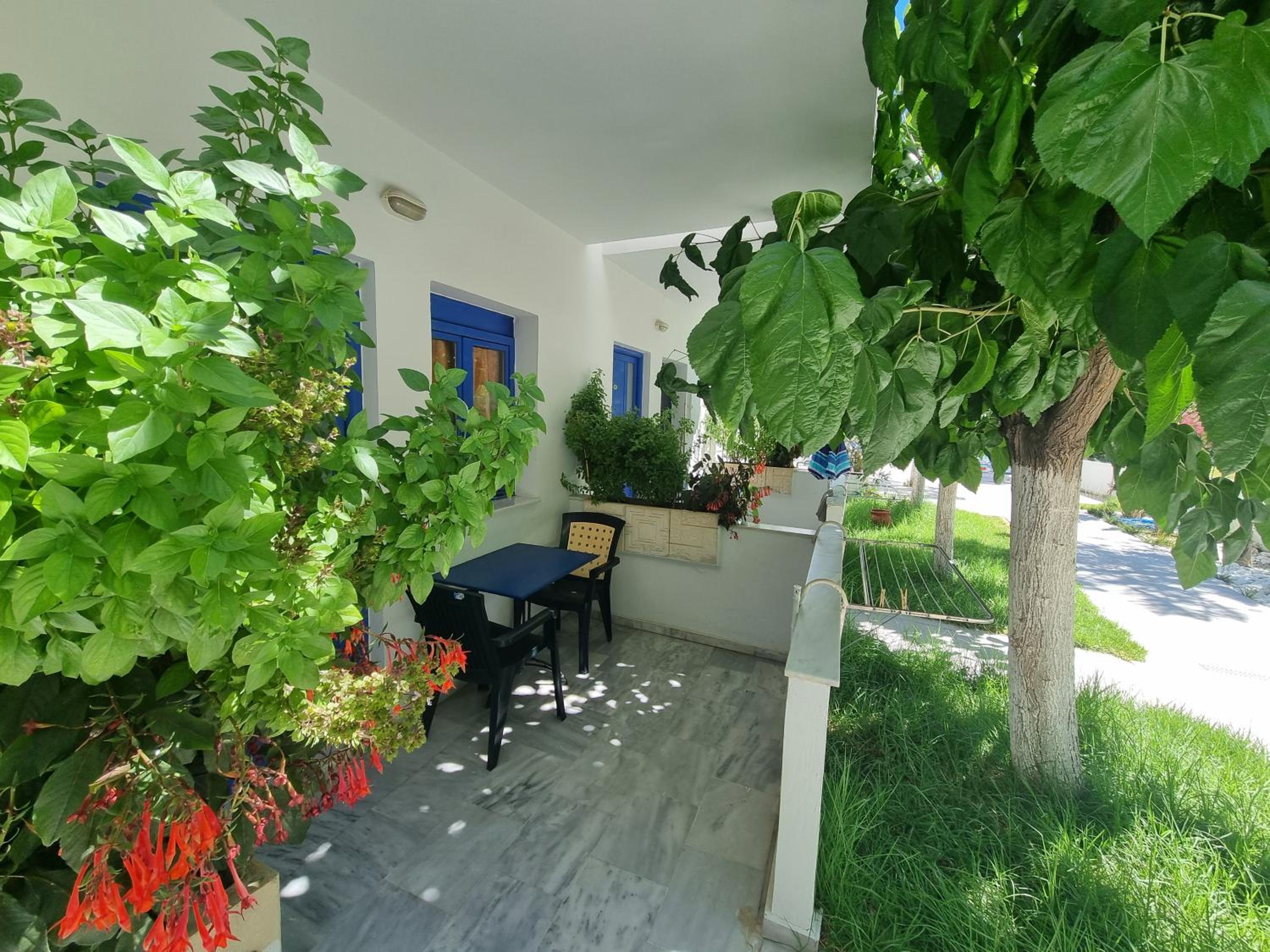 Studio (2 Adults) - Photo 14