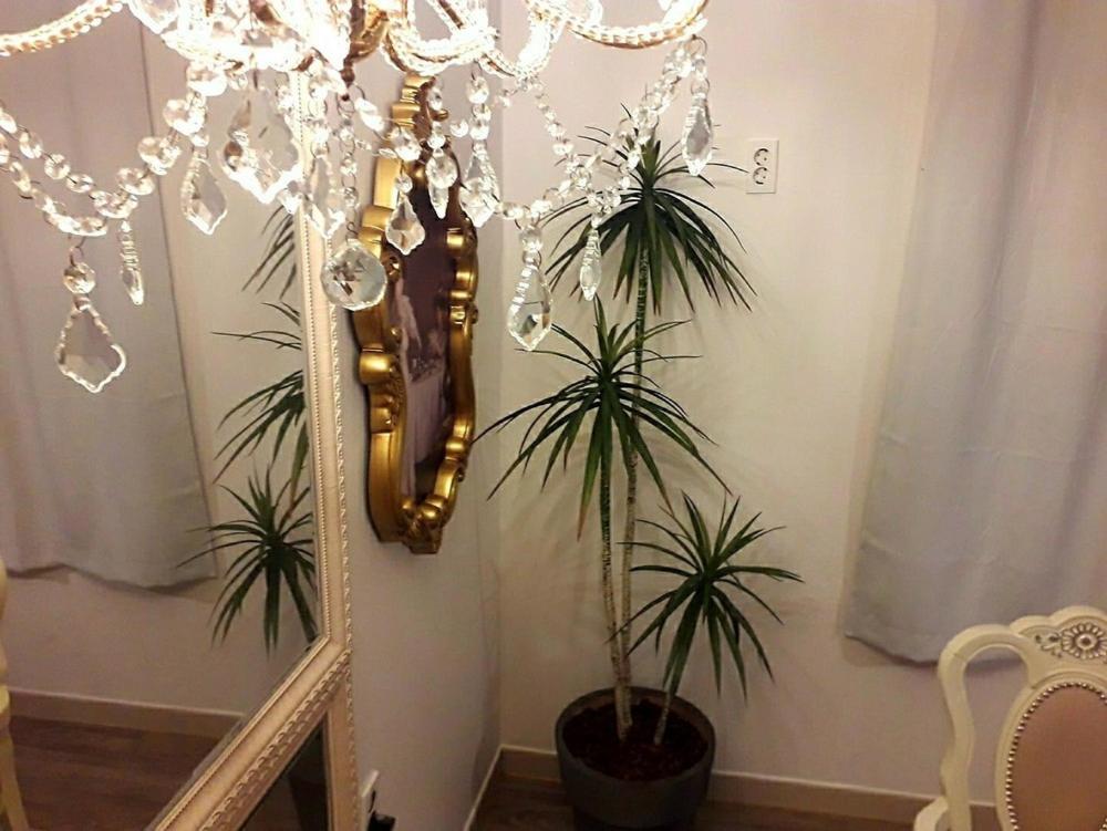 Double Room with Sea View - Photo 8
