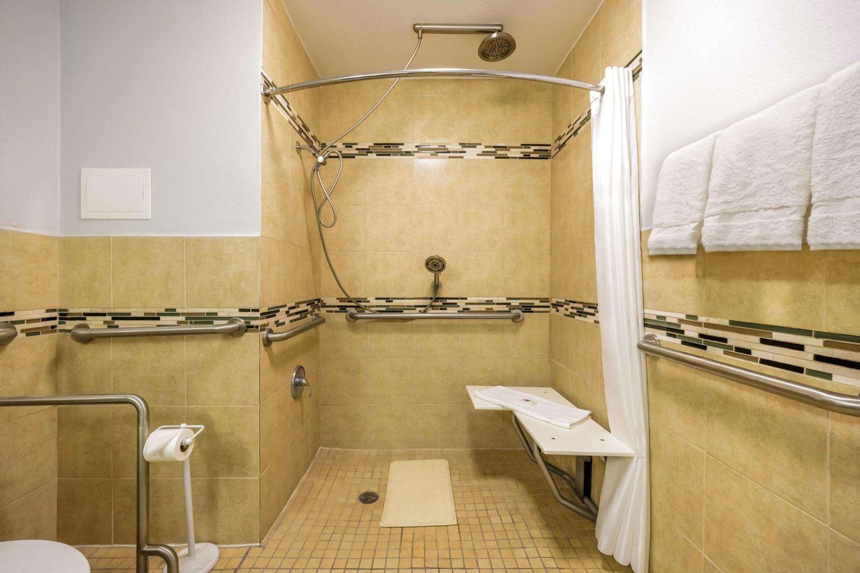 King Room with Roll-In Shower - Disability Access