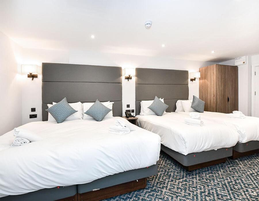 Deluxe Quadruple Room photo 2