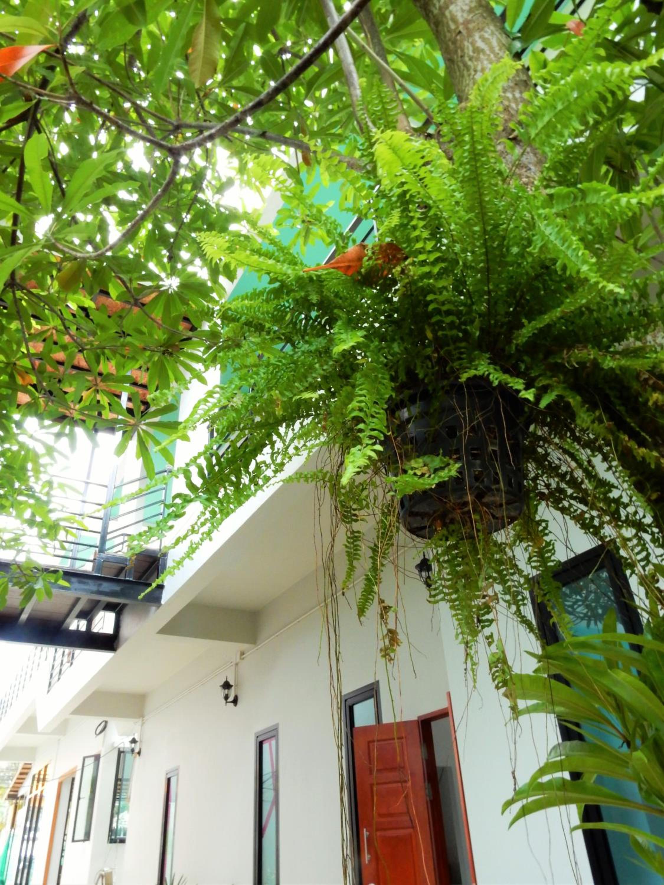 Standard Double or Twin Room with air condition photo 2
