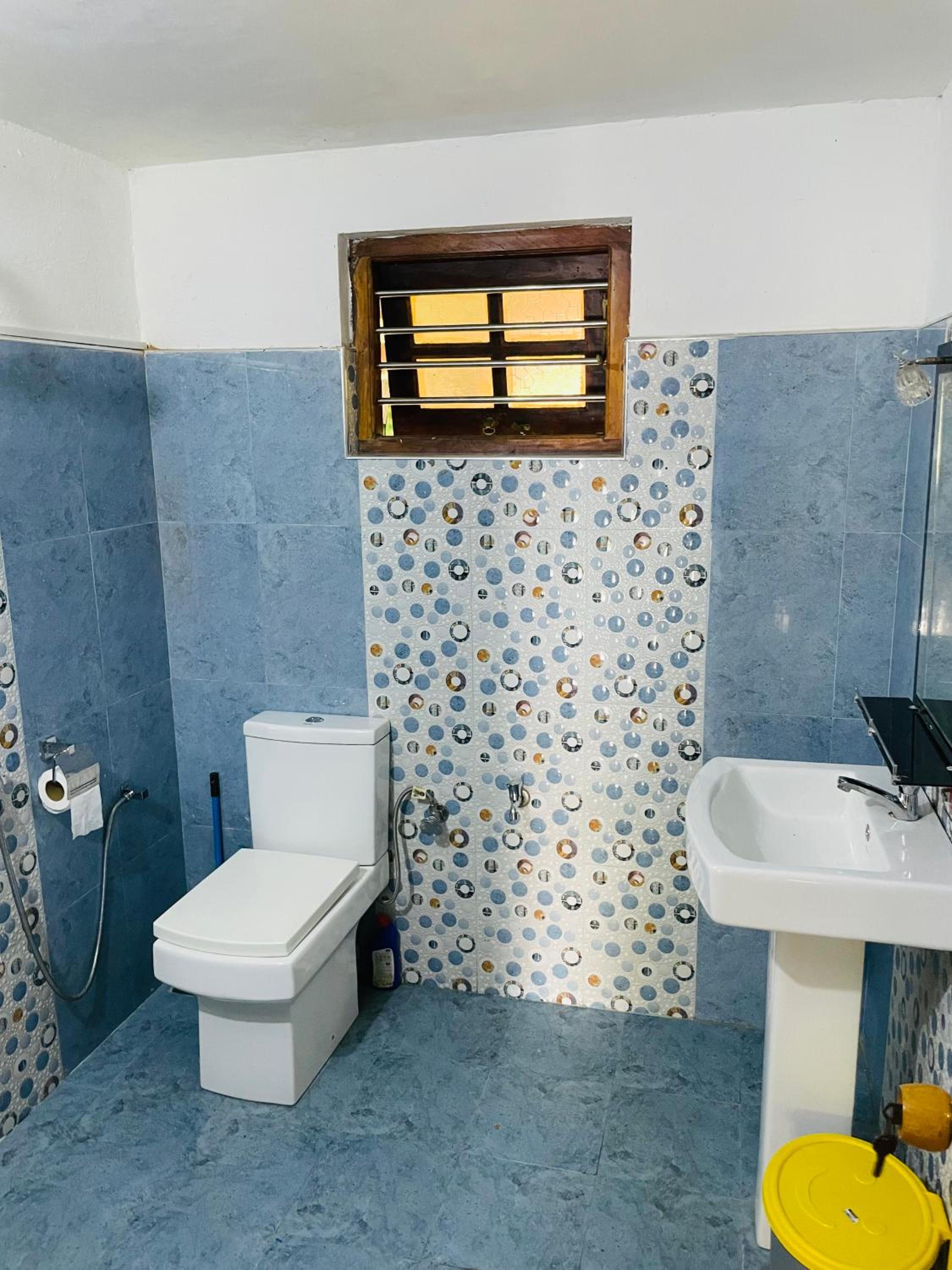 Deluxe Double or Twin Room photo 1