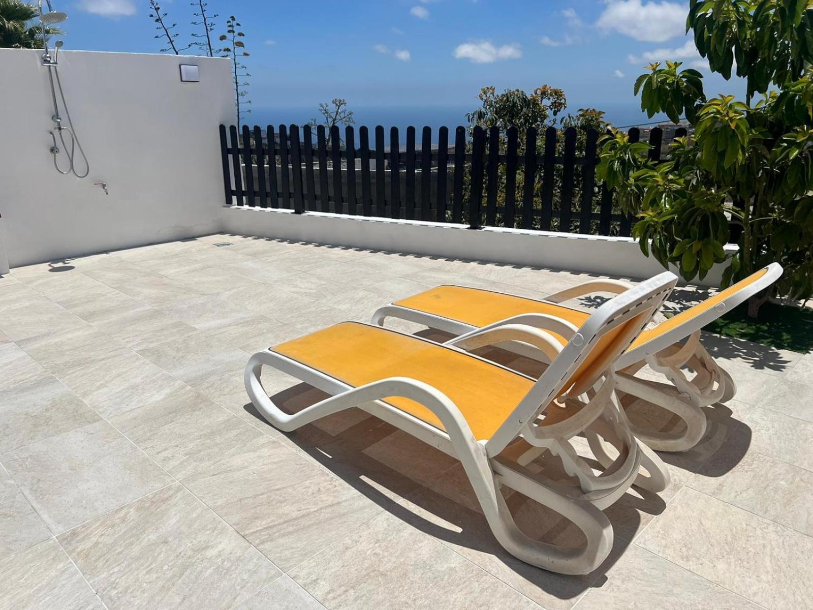 Studio with Terrace photo 2