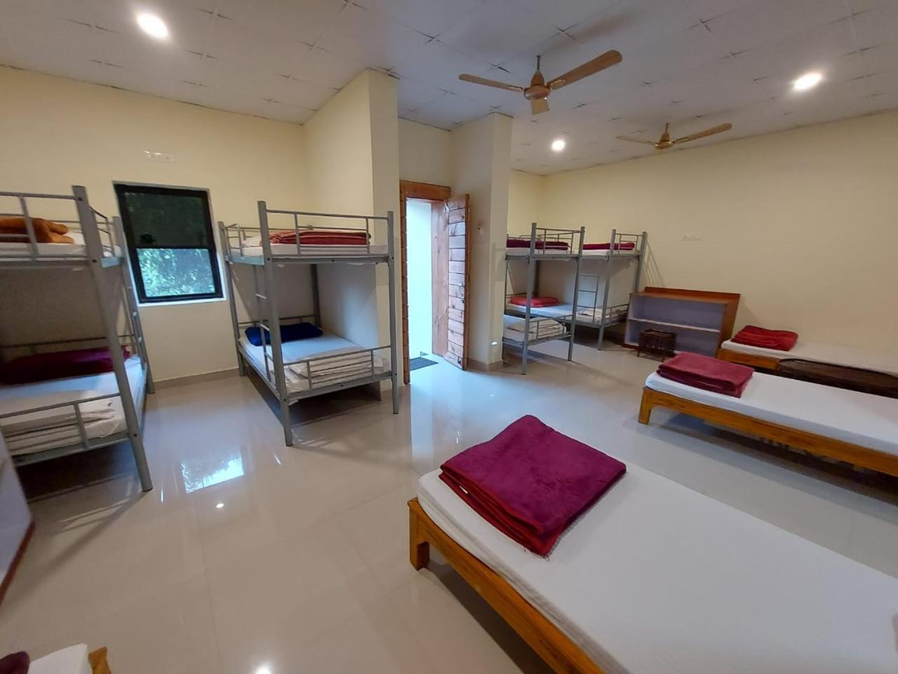 Mixed Dormitory Room