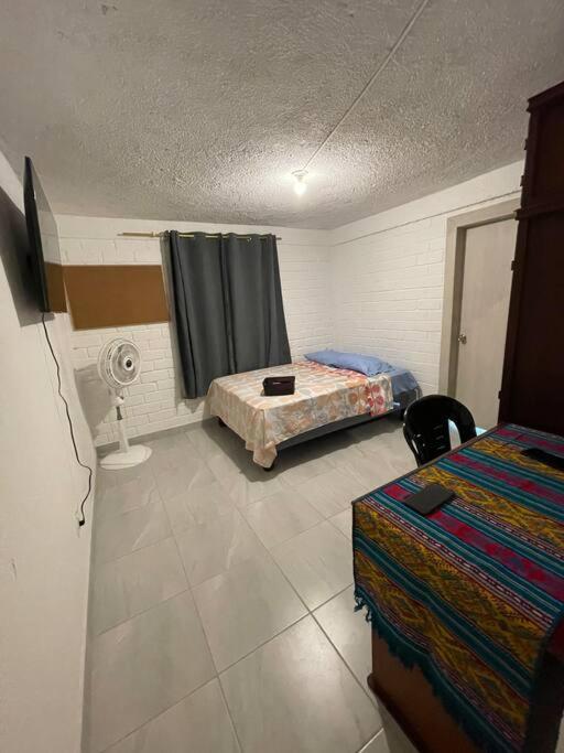 One-Bedroom Apartment photo 3