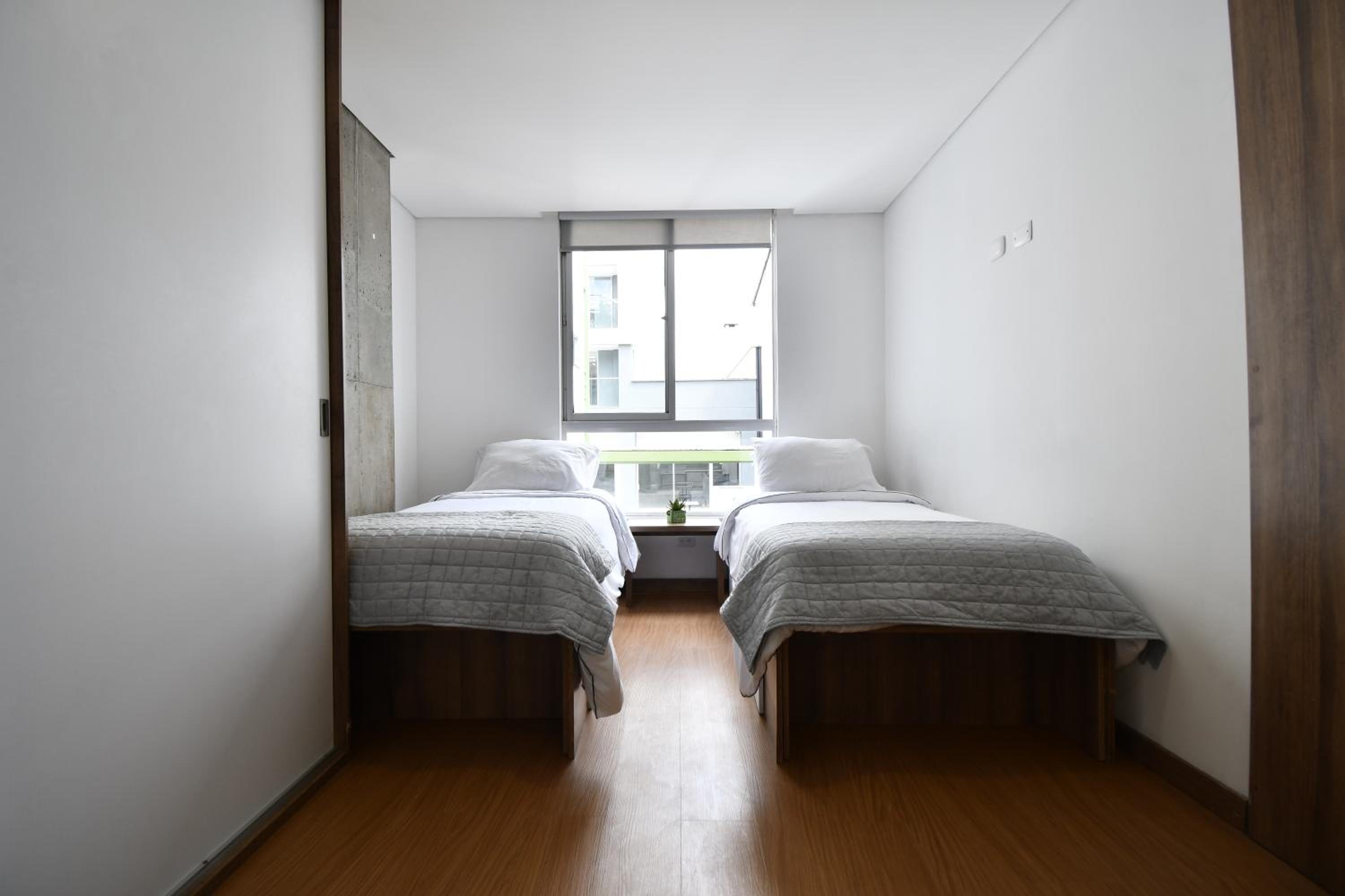Twin Room photo 2