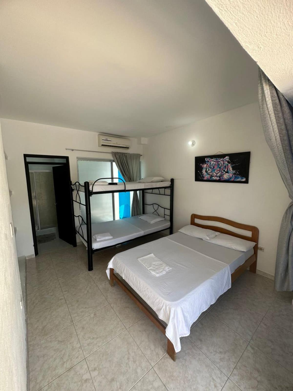 One-Bedroom House photo 3