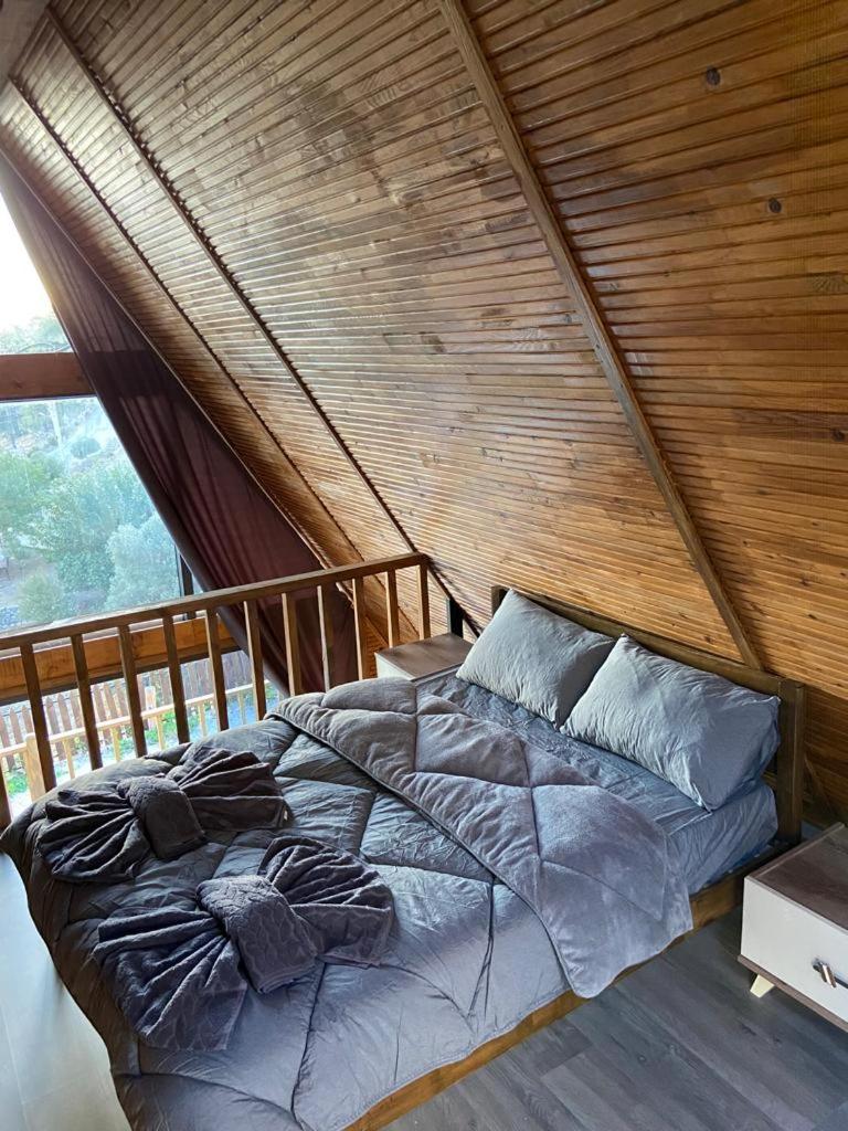 One-Bedroom Villa photo 1