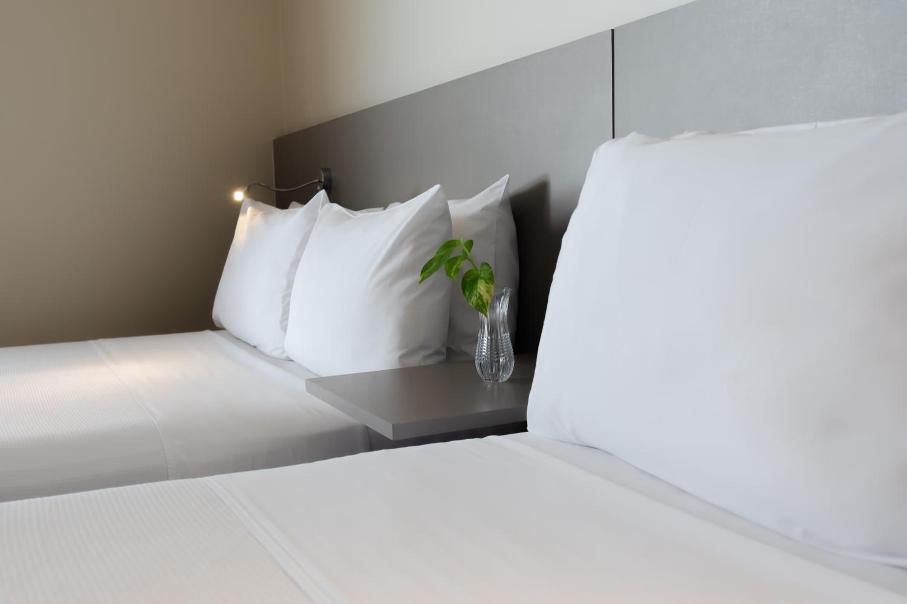 Superior Double Room Plus