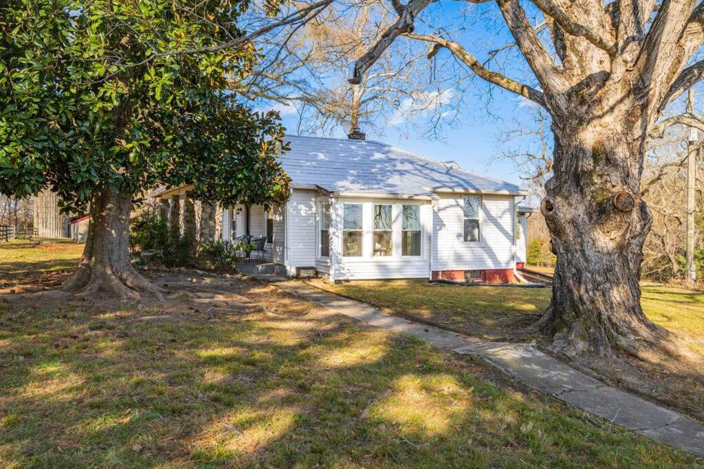 Three-Bedroom House photo 3