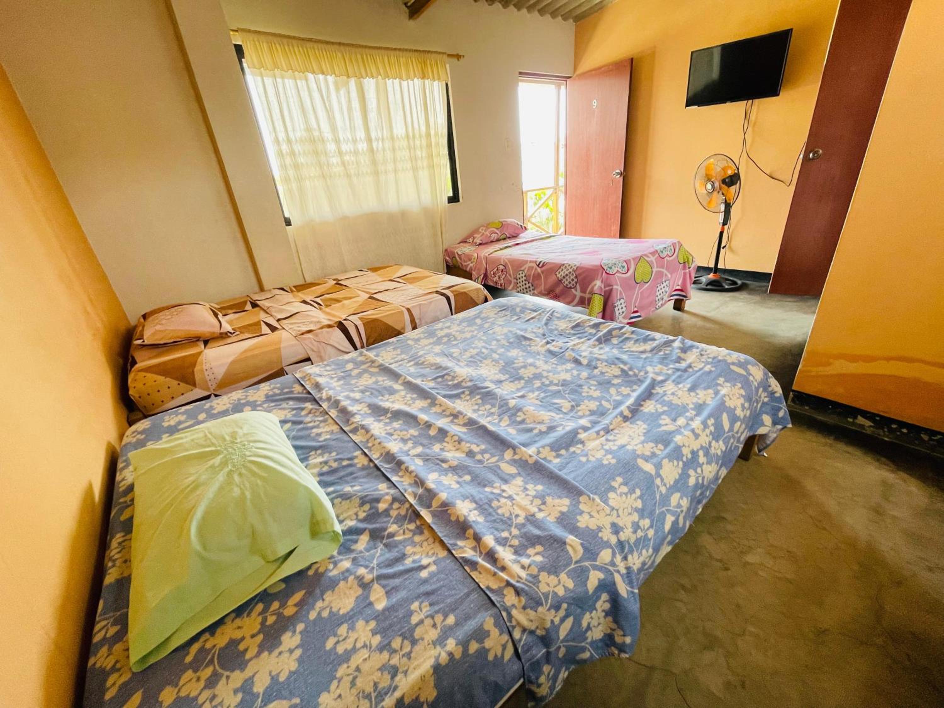 Triple Room photo 1