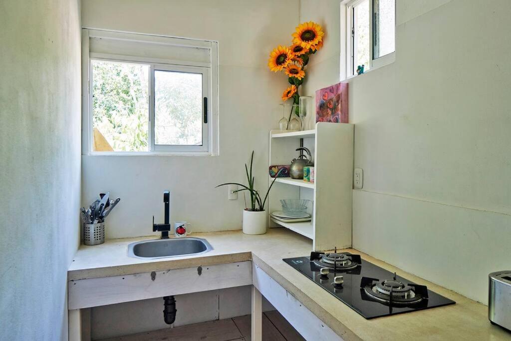 One-Bedroom House photo 2