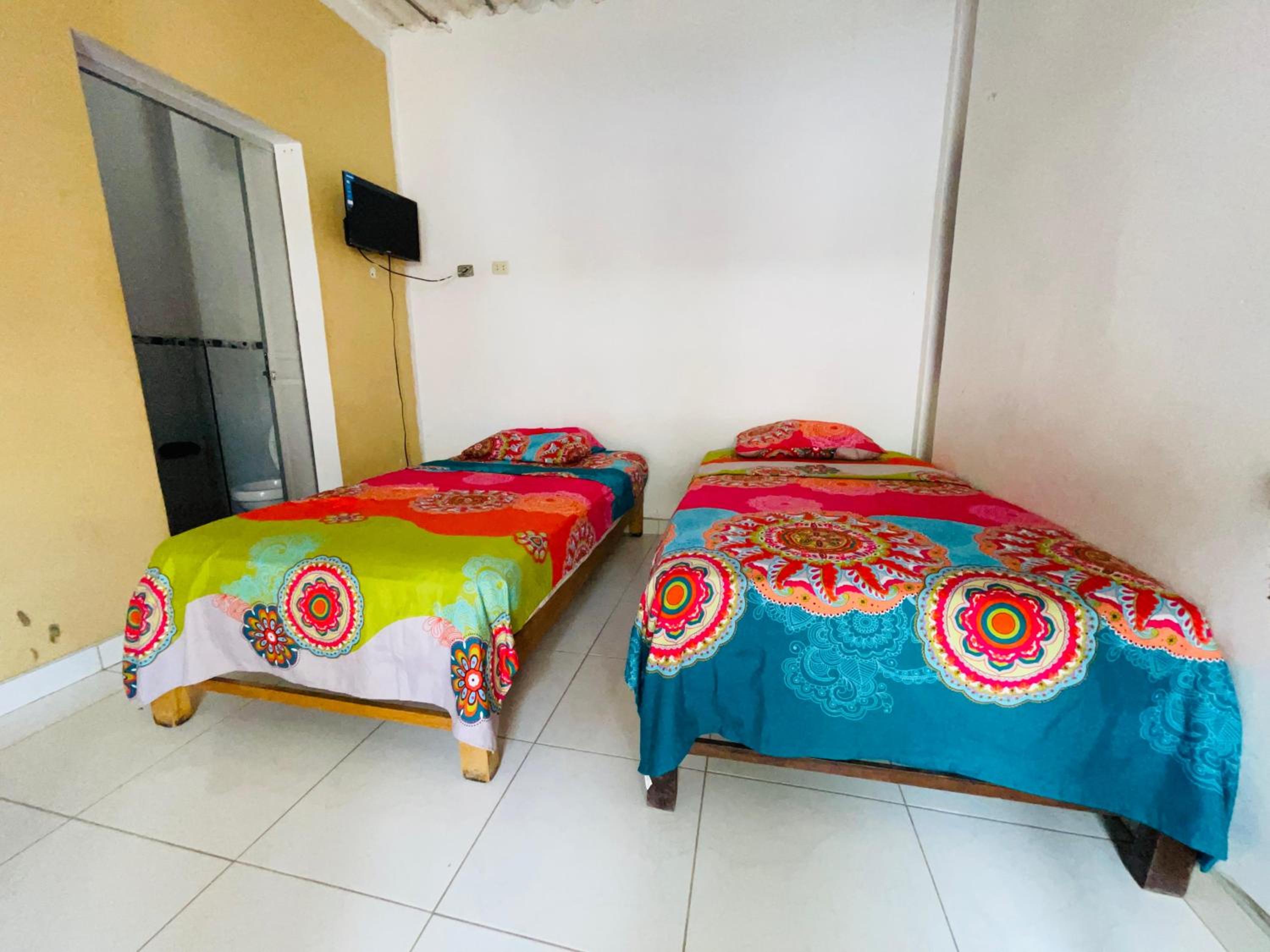 Twin Room photo 1