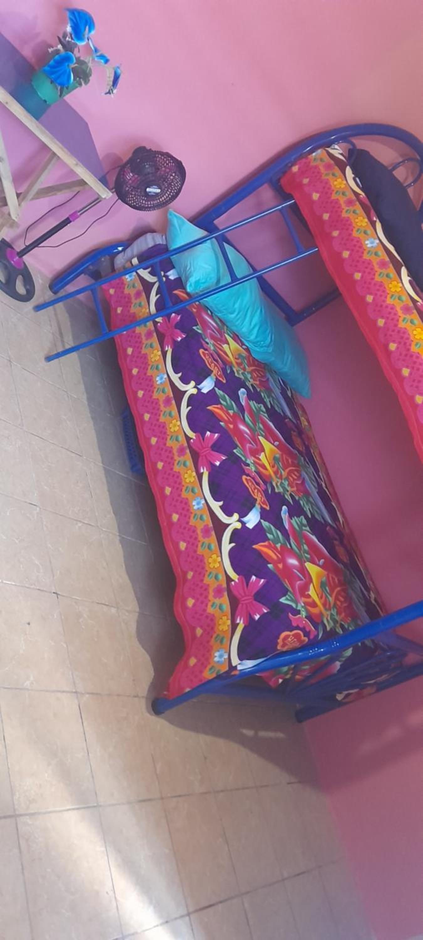 Bunk Bed In Mixed Dormitory Room photo 3