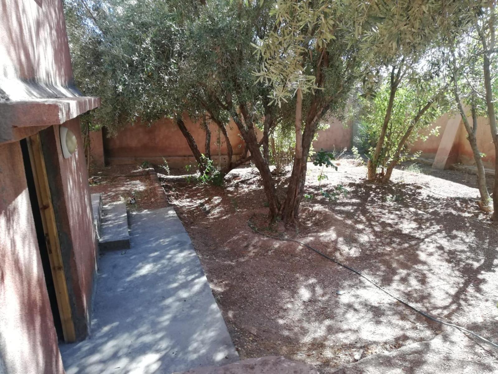 Twin Room with Garden View photo 1