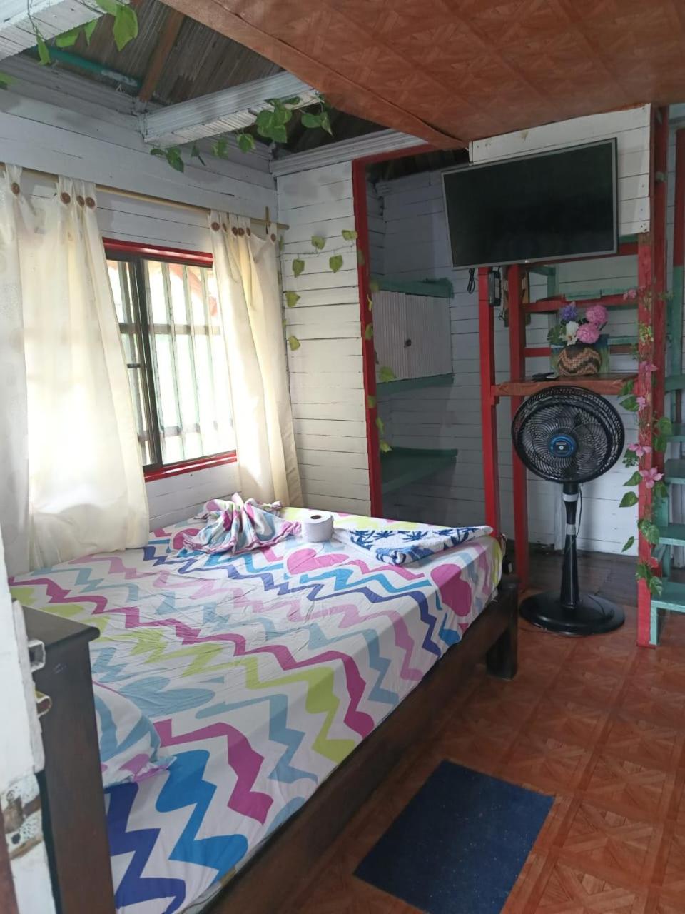 Double Room With Park View photo 1