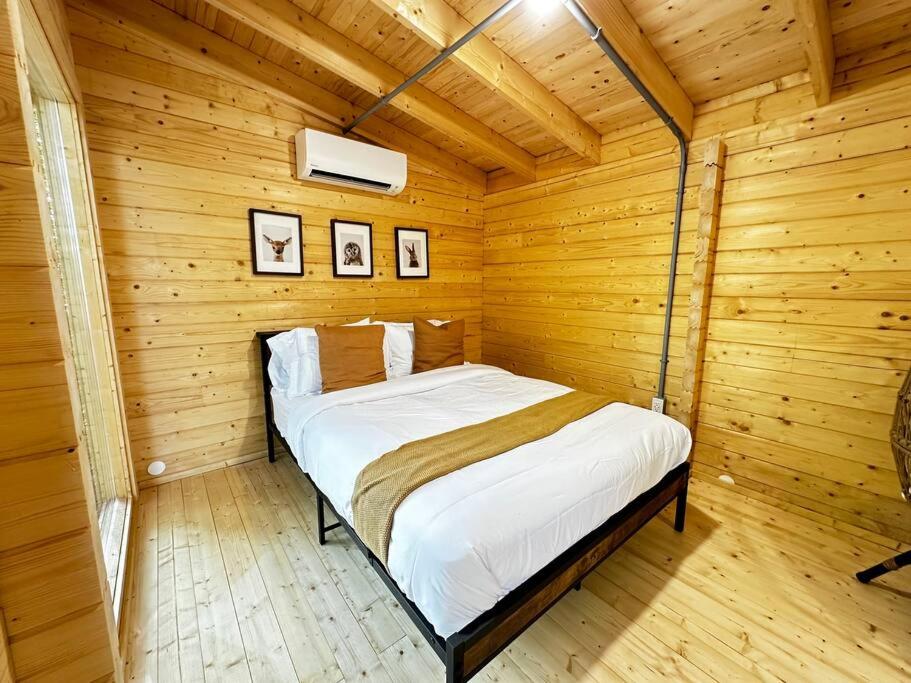One-Bedroom House photo 3