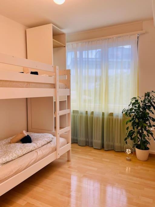 Three-Bedroom Apartment photo 2