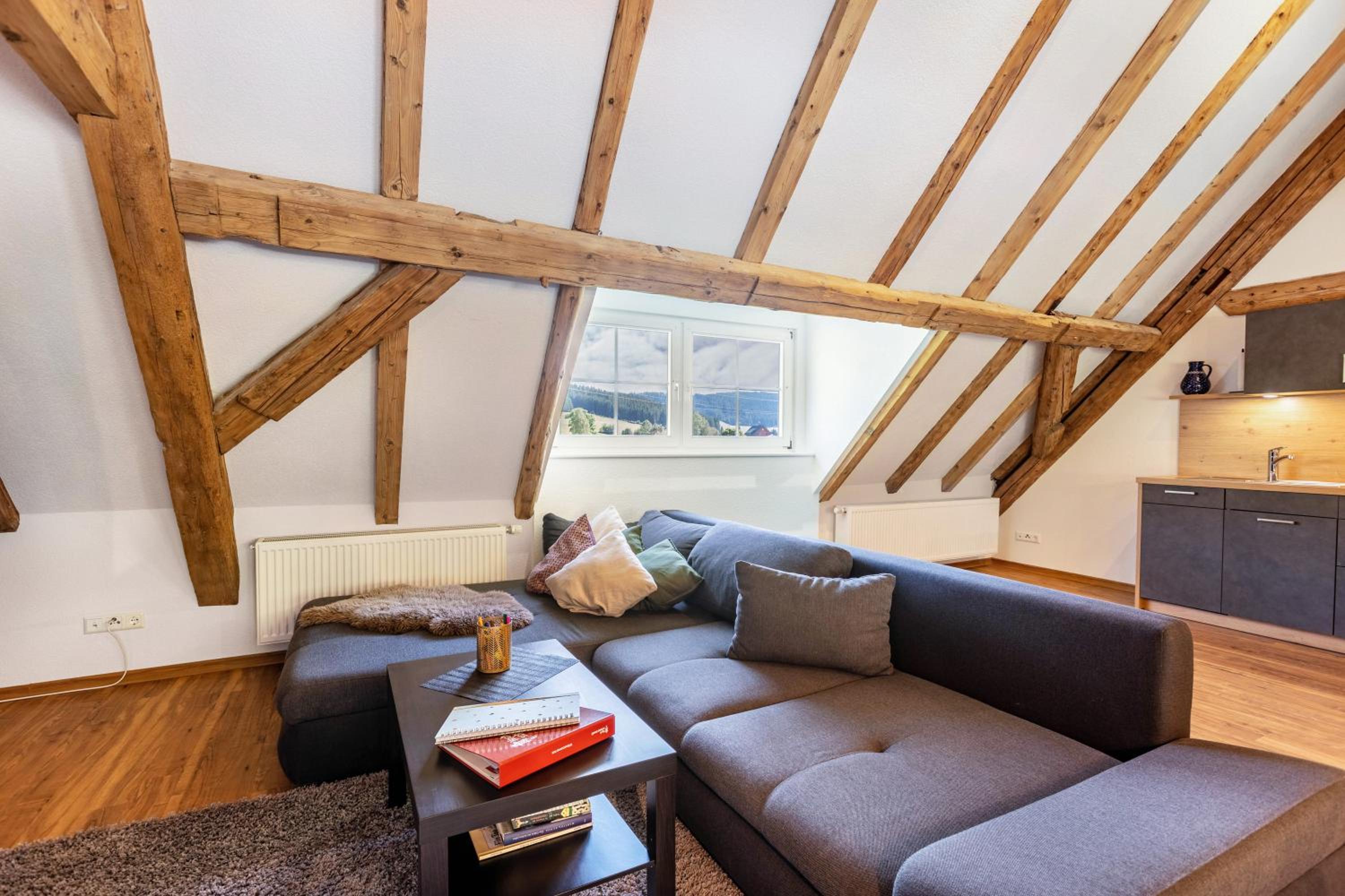 Two-Bedroom Apartment with Mountain View