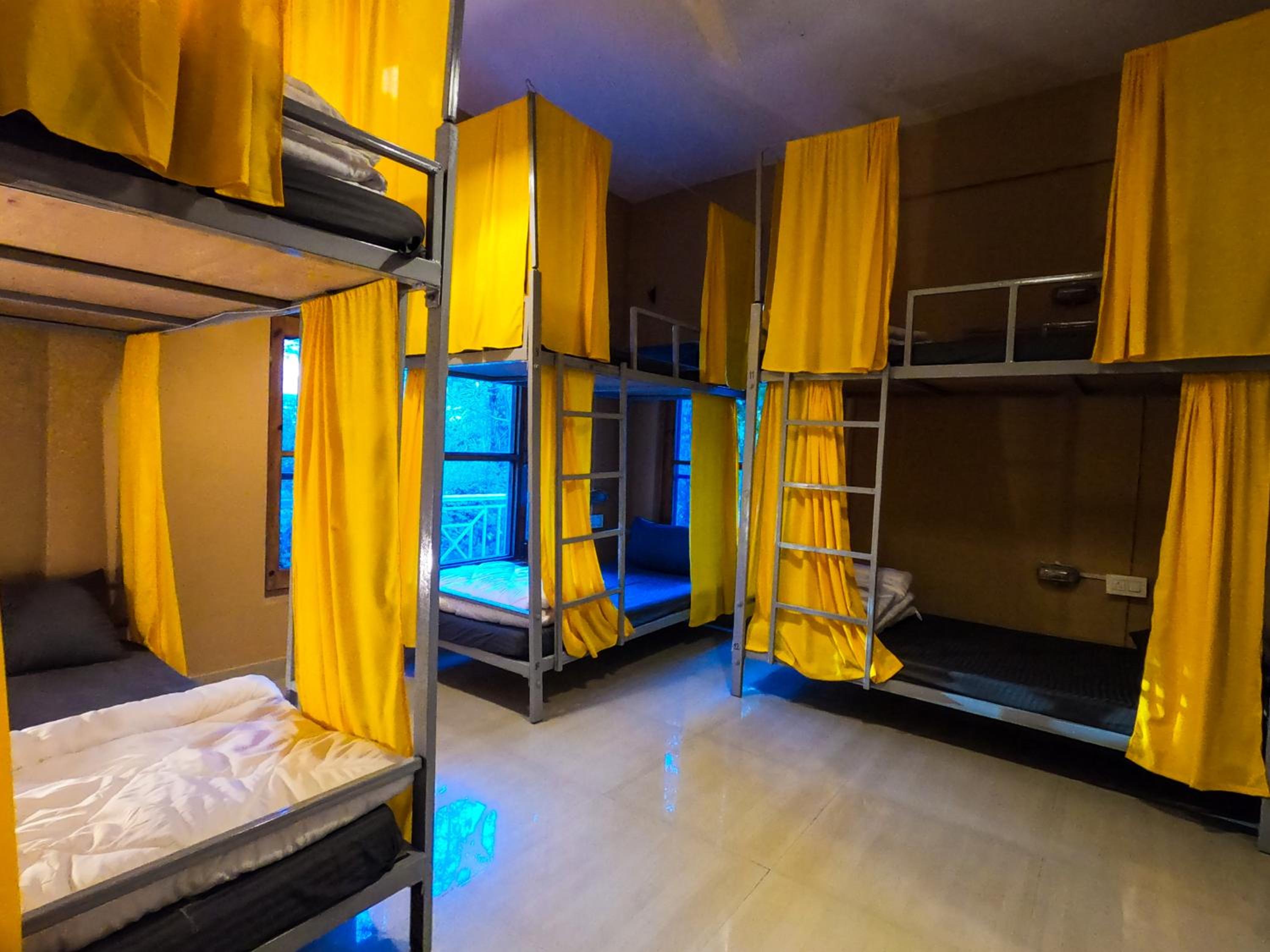 Bed in 6-Bed Mixed Dormitory Room photo 2