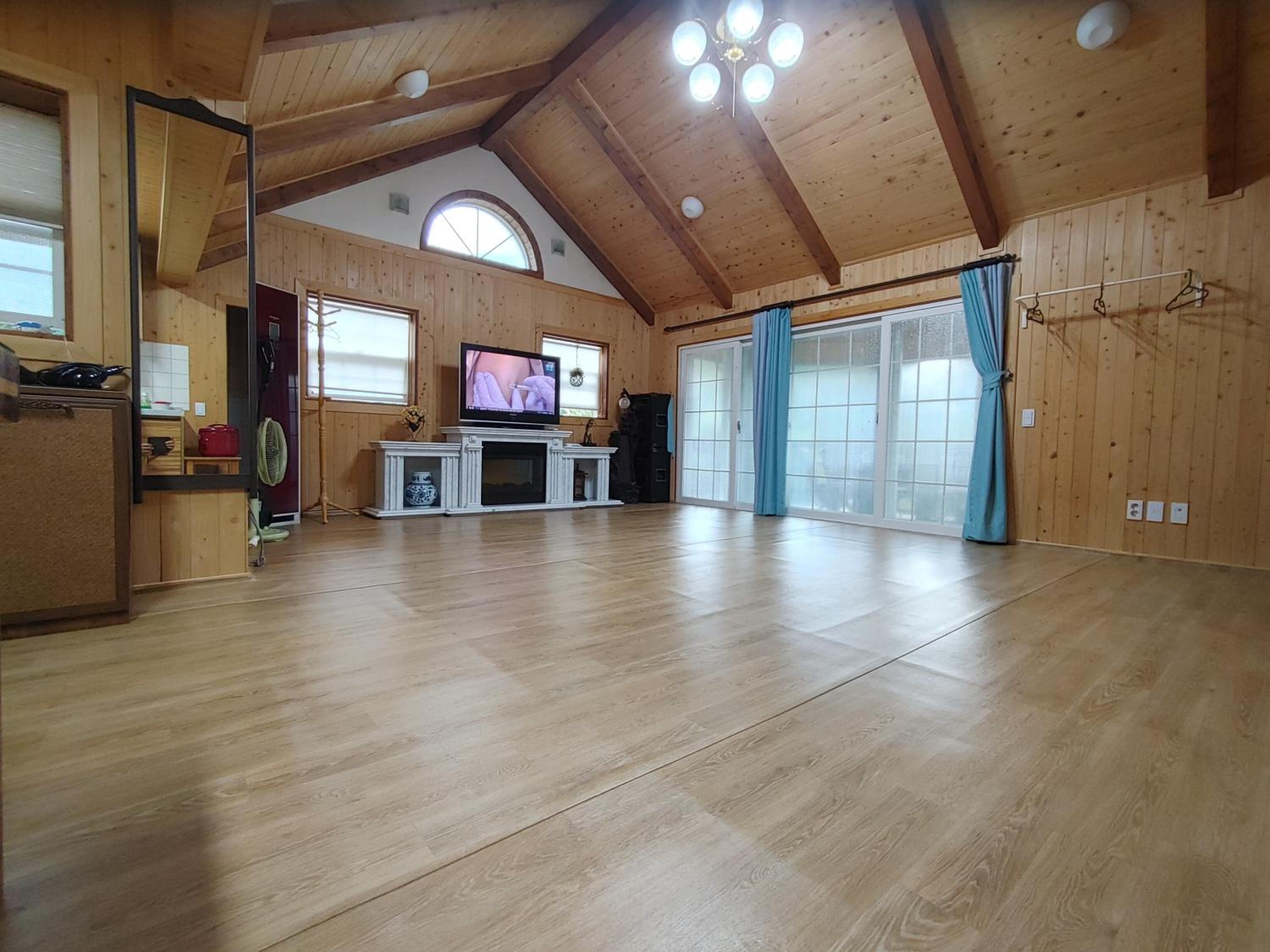 Family Room photo 3