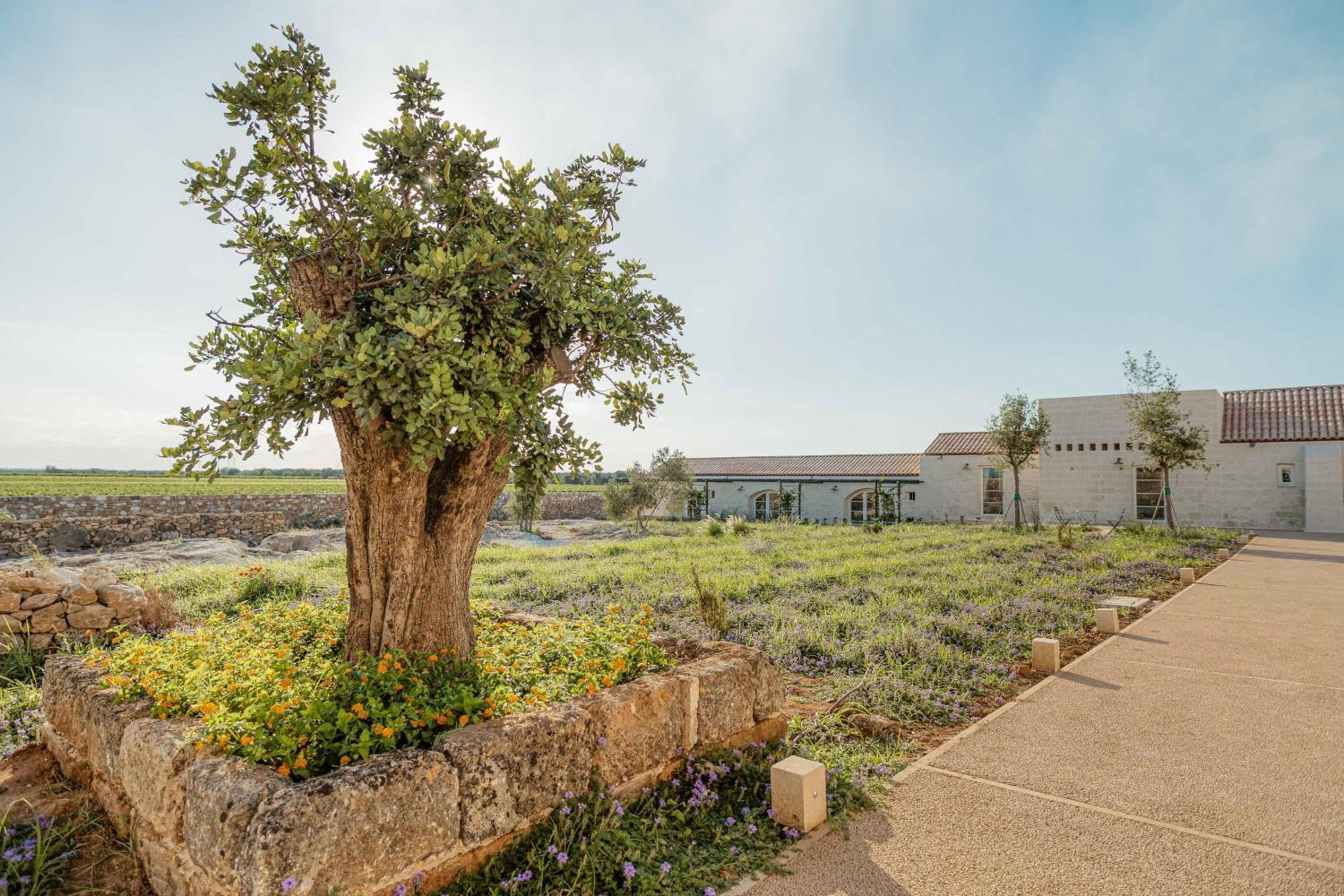 Double or Twin Room with Garden View