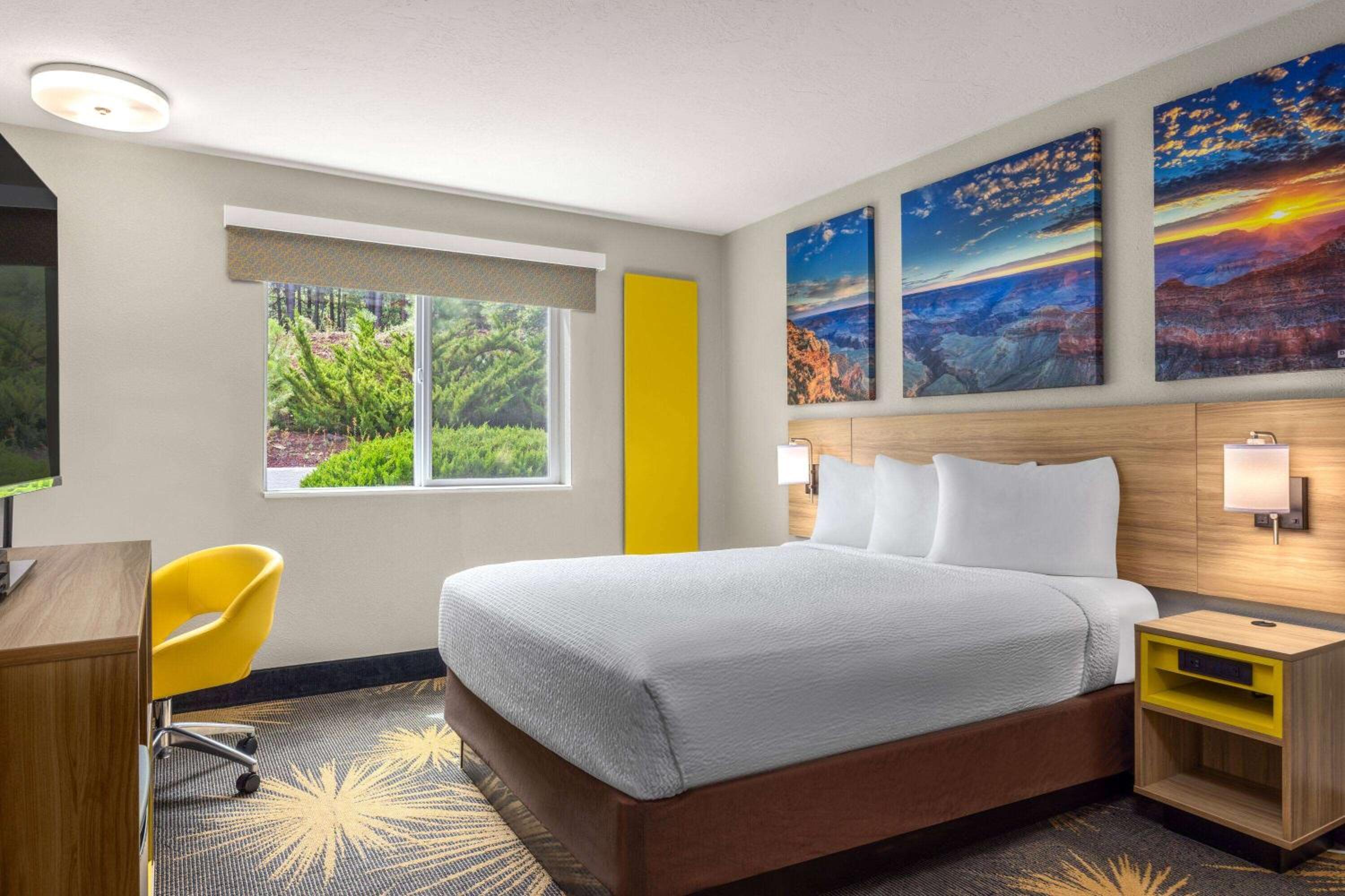 Queen Room with Roll-In Shower - Mobility Accessible/Non-Smoking - Photo 1
