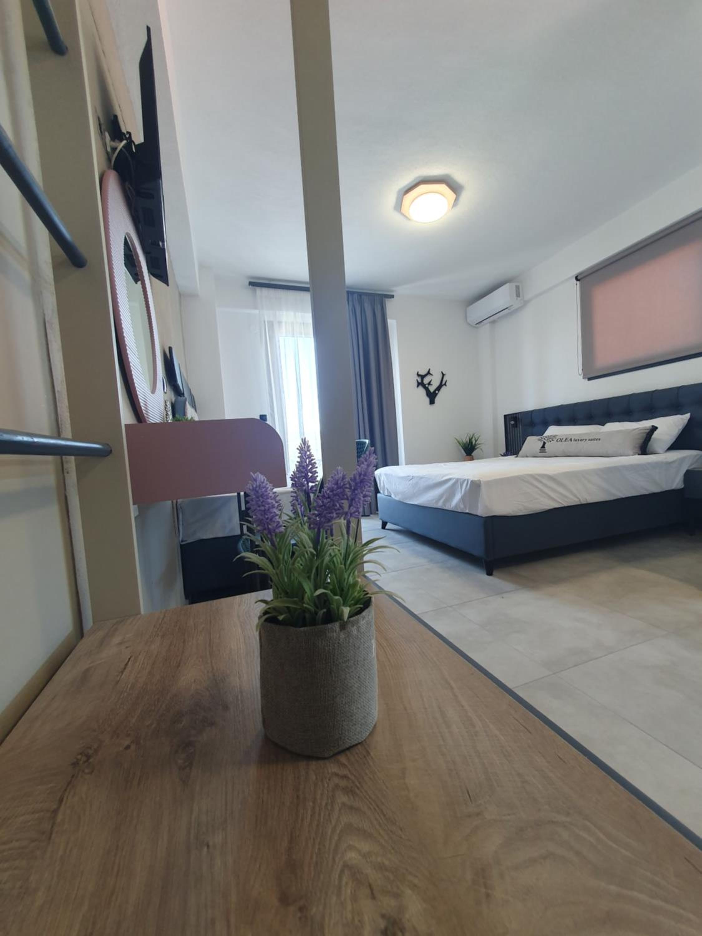 Luxury Quadruple Room photo 2