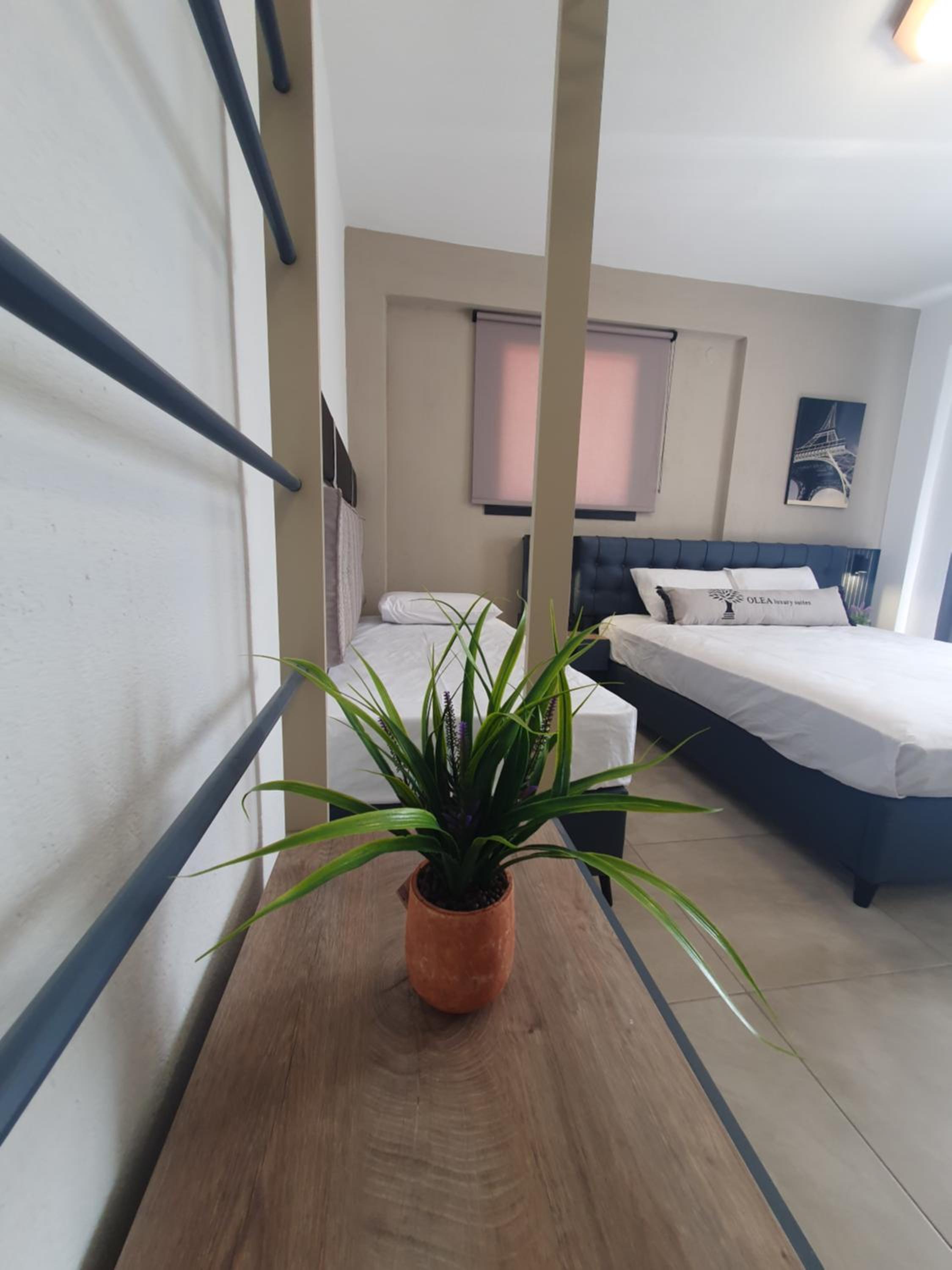 Luxury Triple Room photo 1