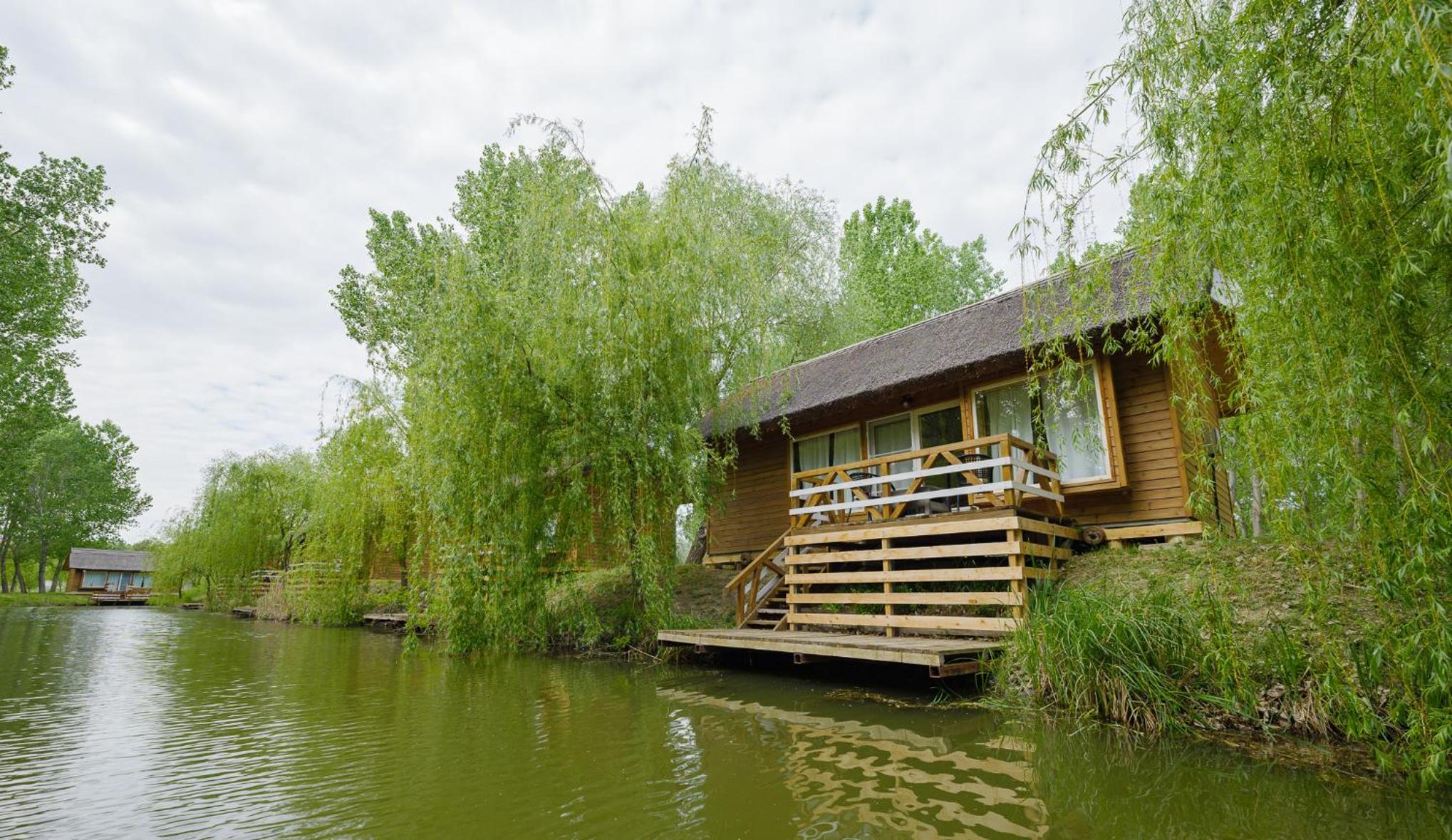 Bungalow - Water Front  photo 3
