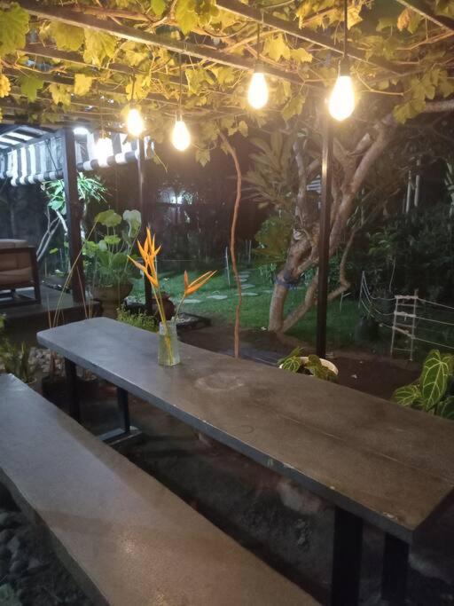 Villa photo 3