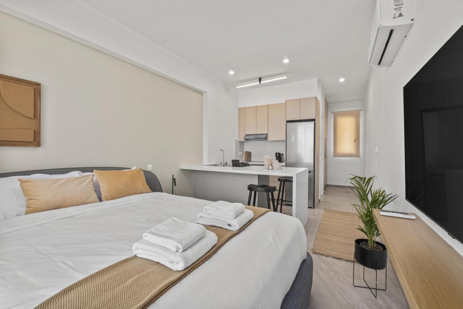 Studio Apartment photo 1