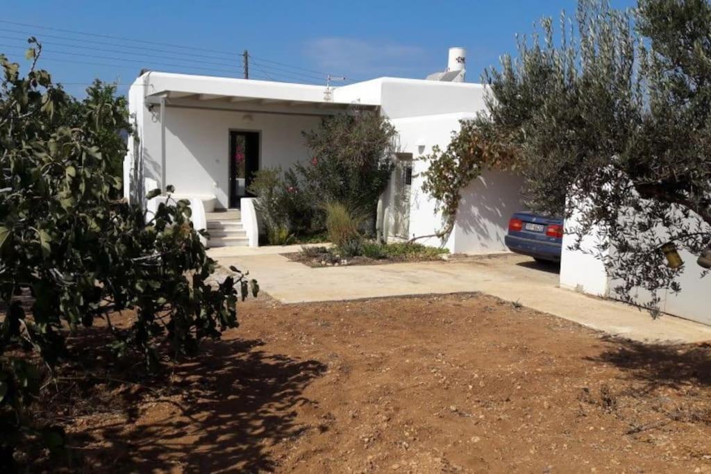 Three-Bedroom House photo 2