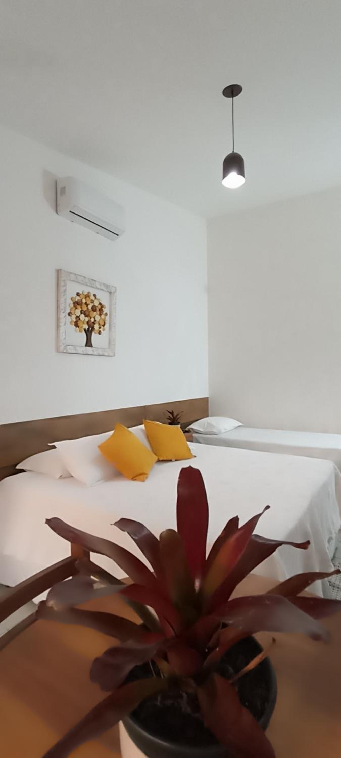 Suite photo 3