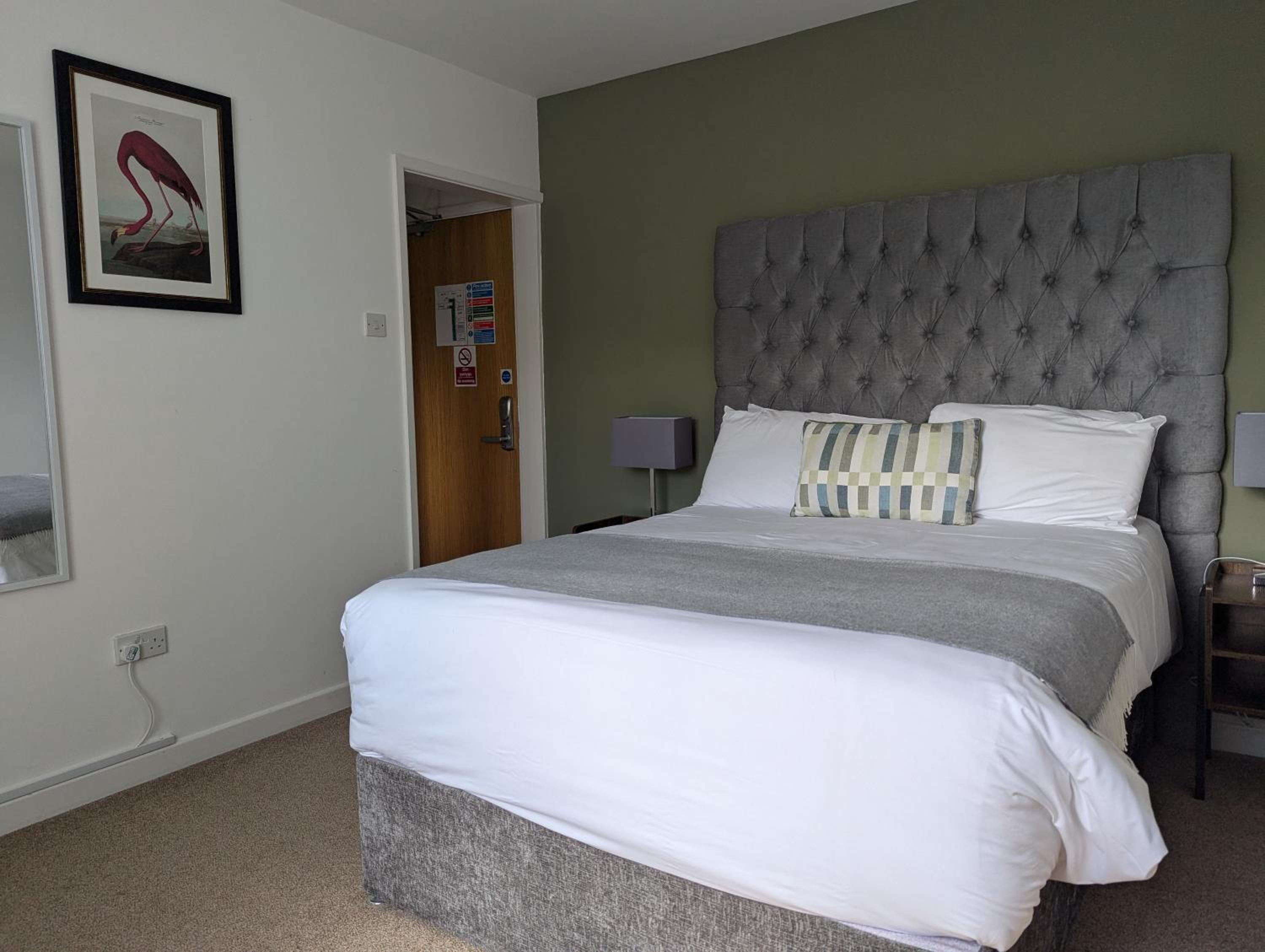 Double Room photo 1