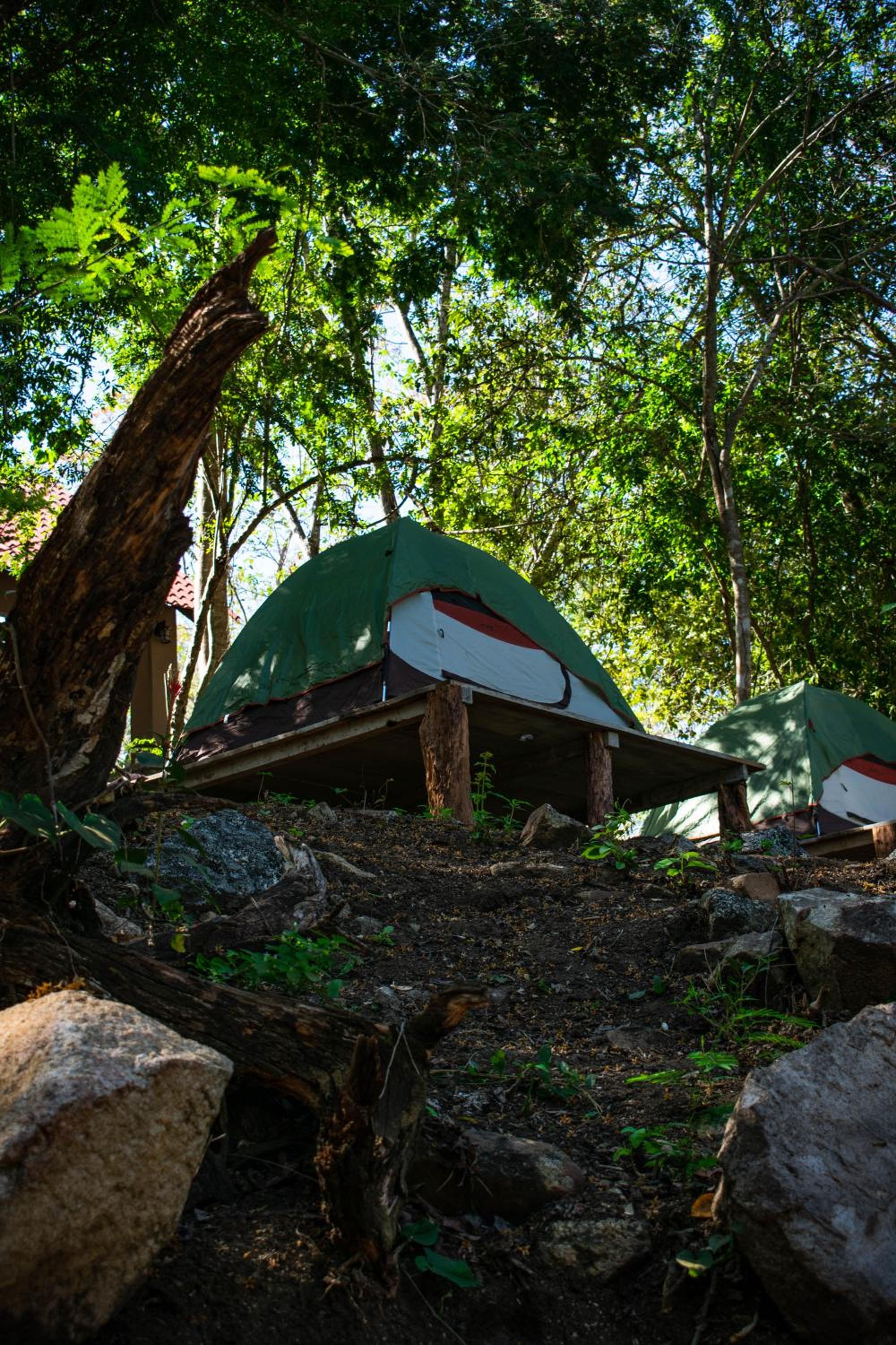 Tent photo 1