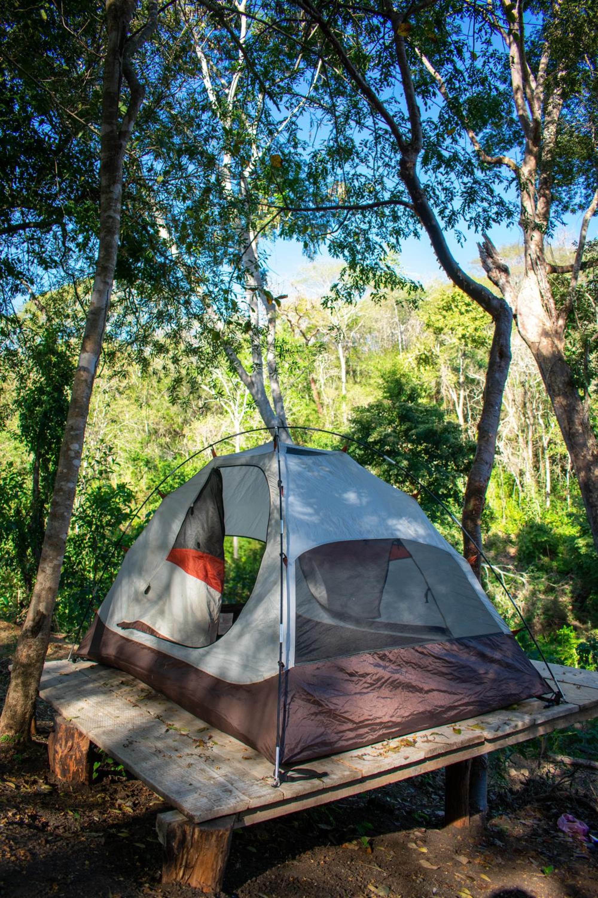 Tent photo 2