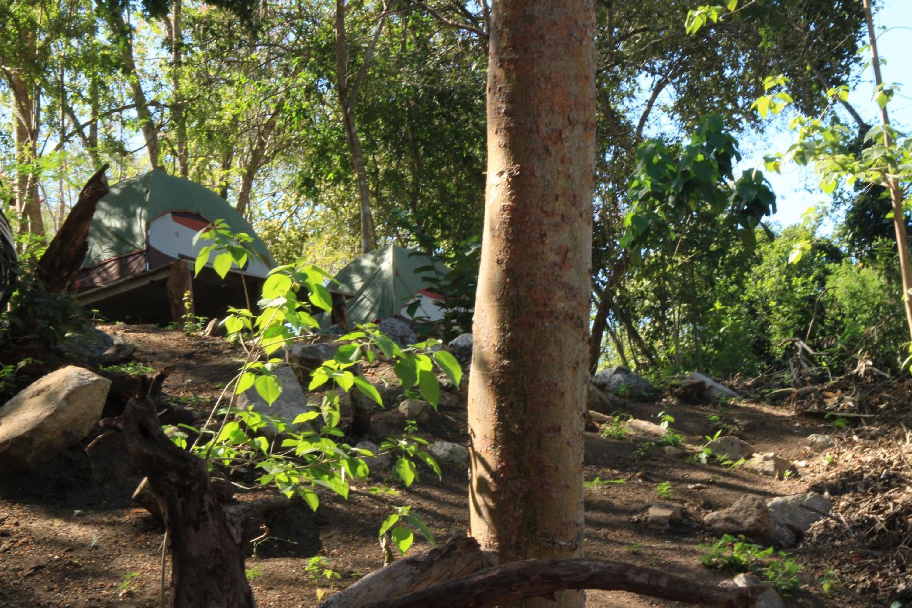 Tent photo 3