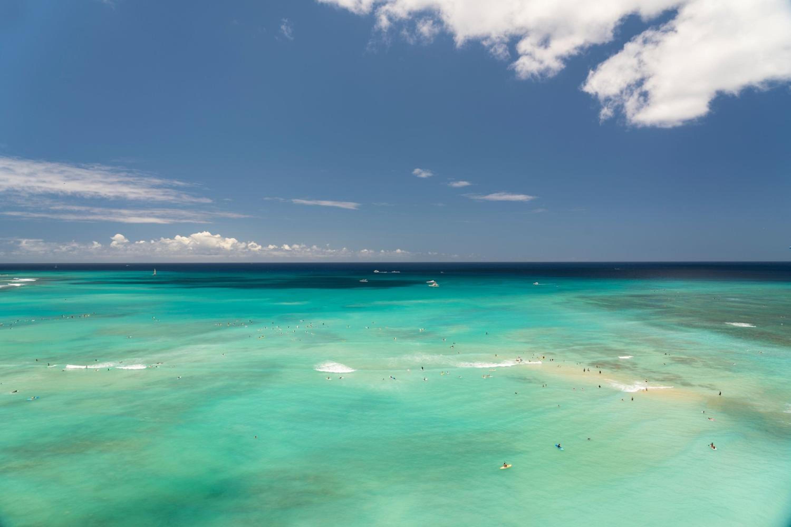Newly Renovated Tower Premier Ocean Suite, 1 Bedroom Suite, Oceanfront thumbnail 6