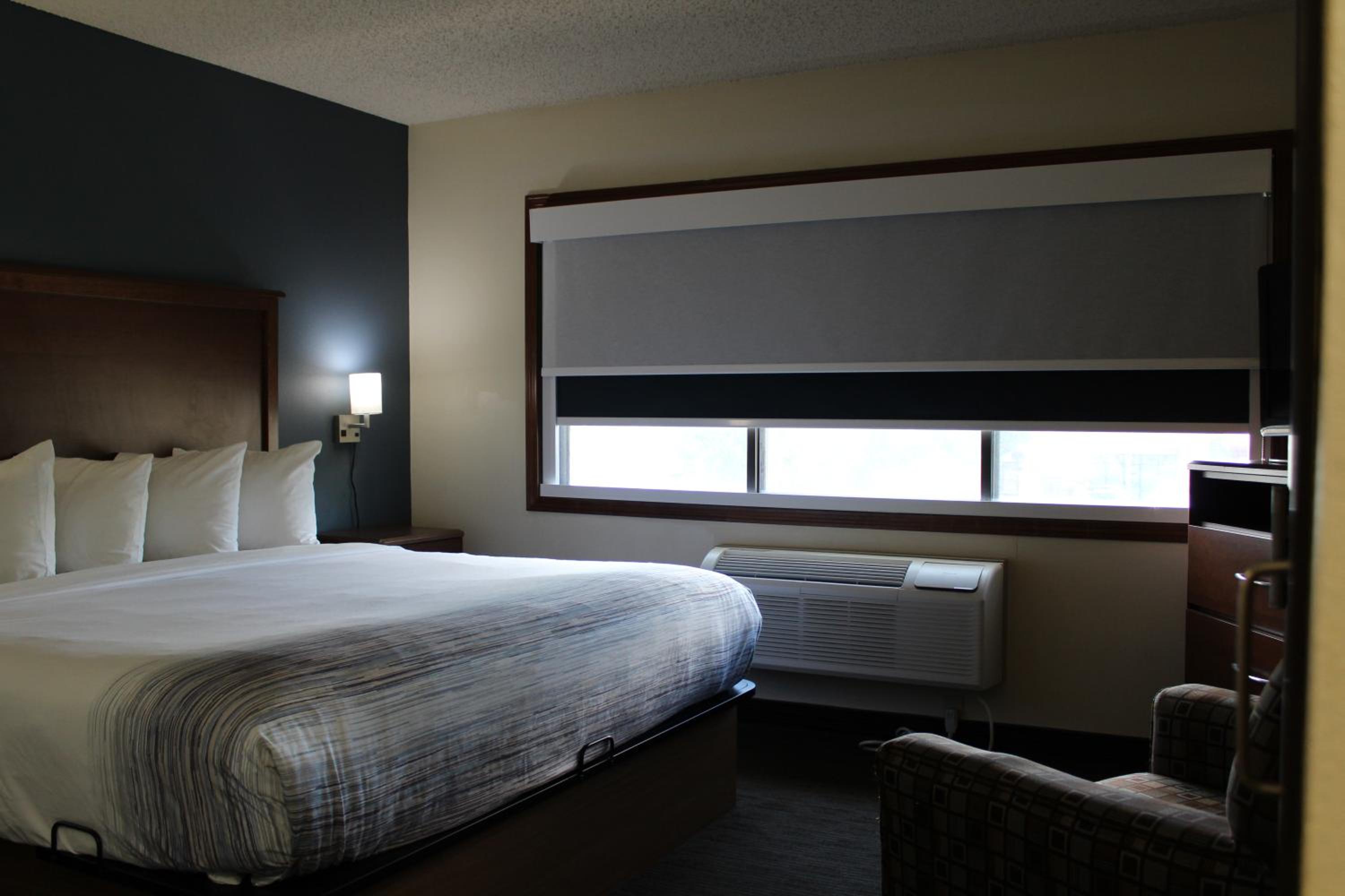 Deluxe King Suite - Non-Smoking - Photo 1