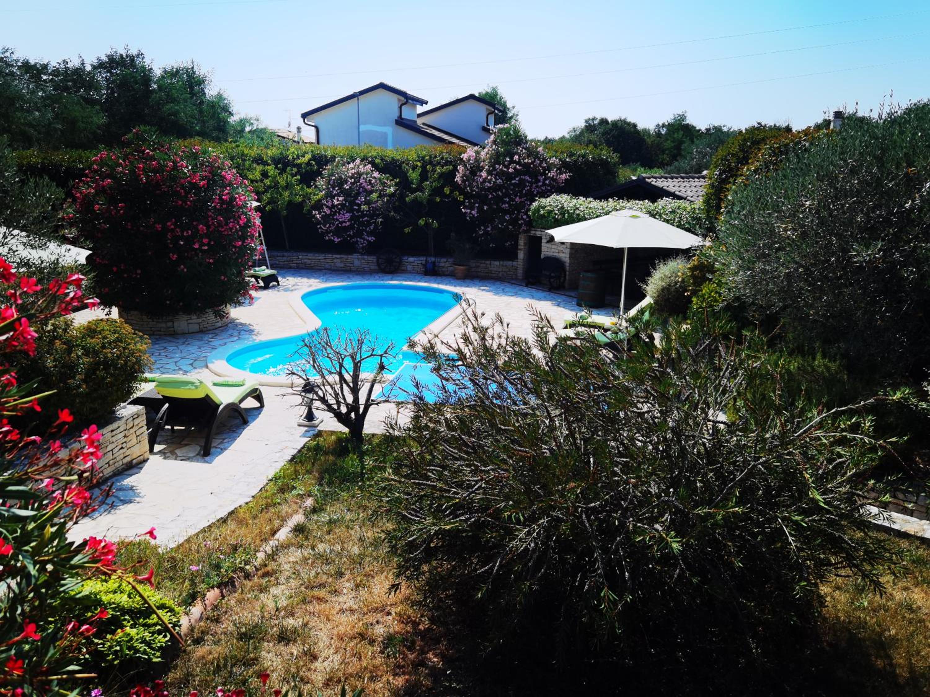 Deluxe Villa photo 3