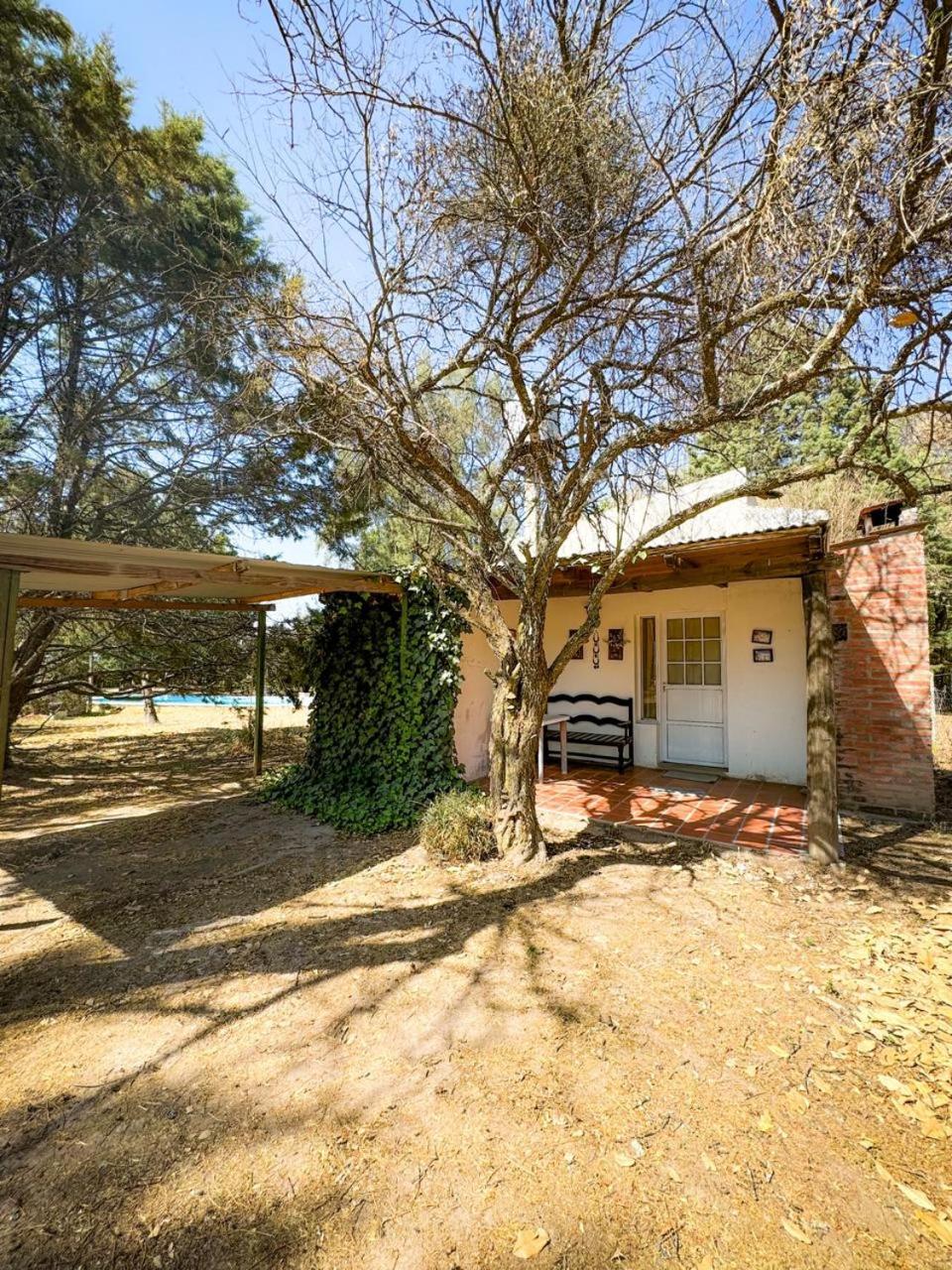 Bungalow (2 Adults) photo 3