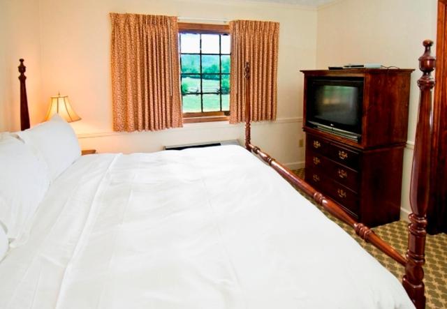 Superior Quadruple Room photo 1