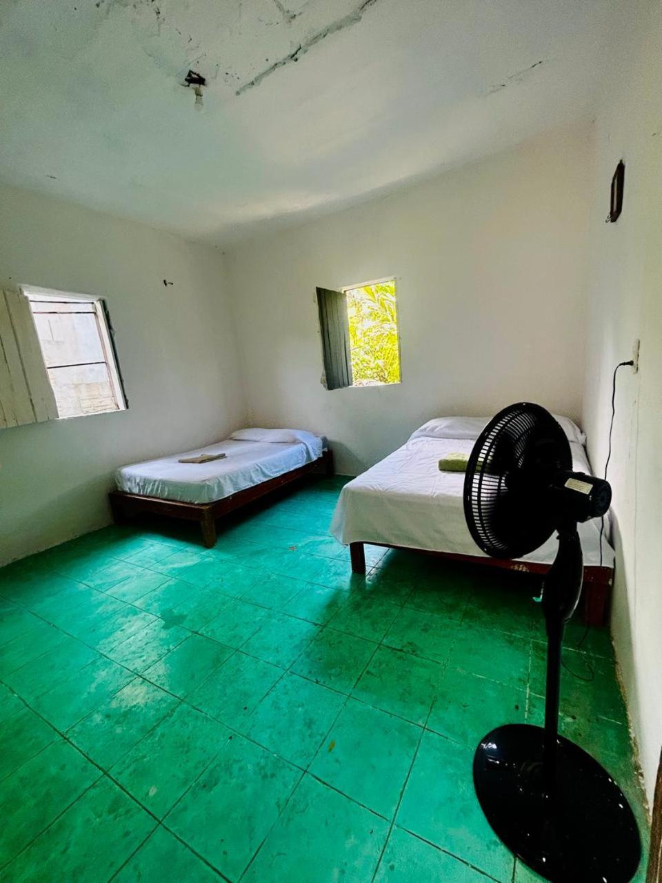 Twin Room with Terrace photo 1