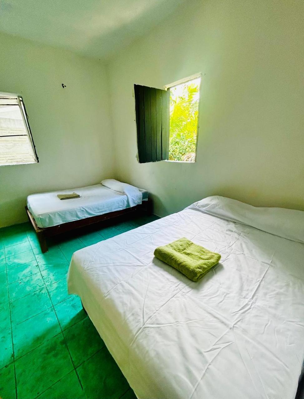 Twin Room with Terrace photo 2