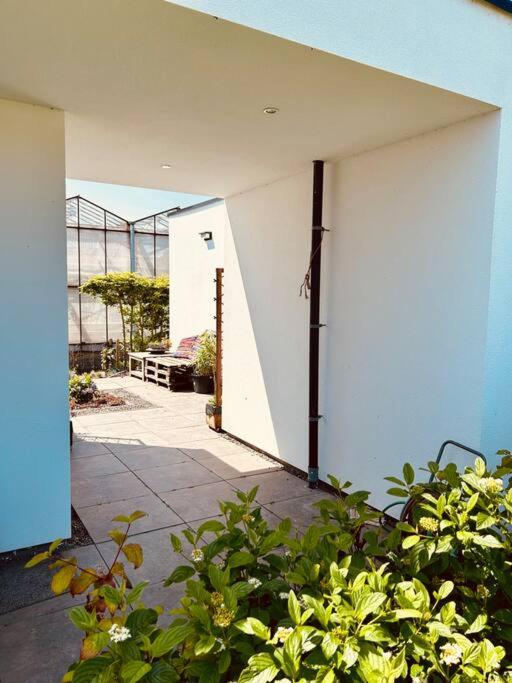 One-Bedroom House photo 3