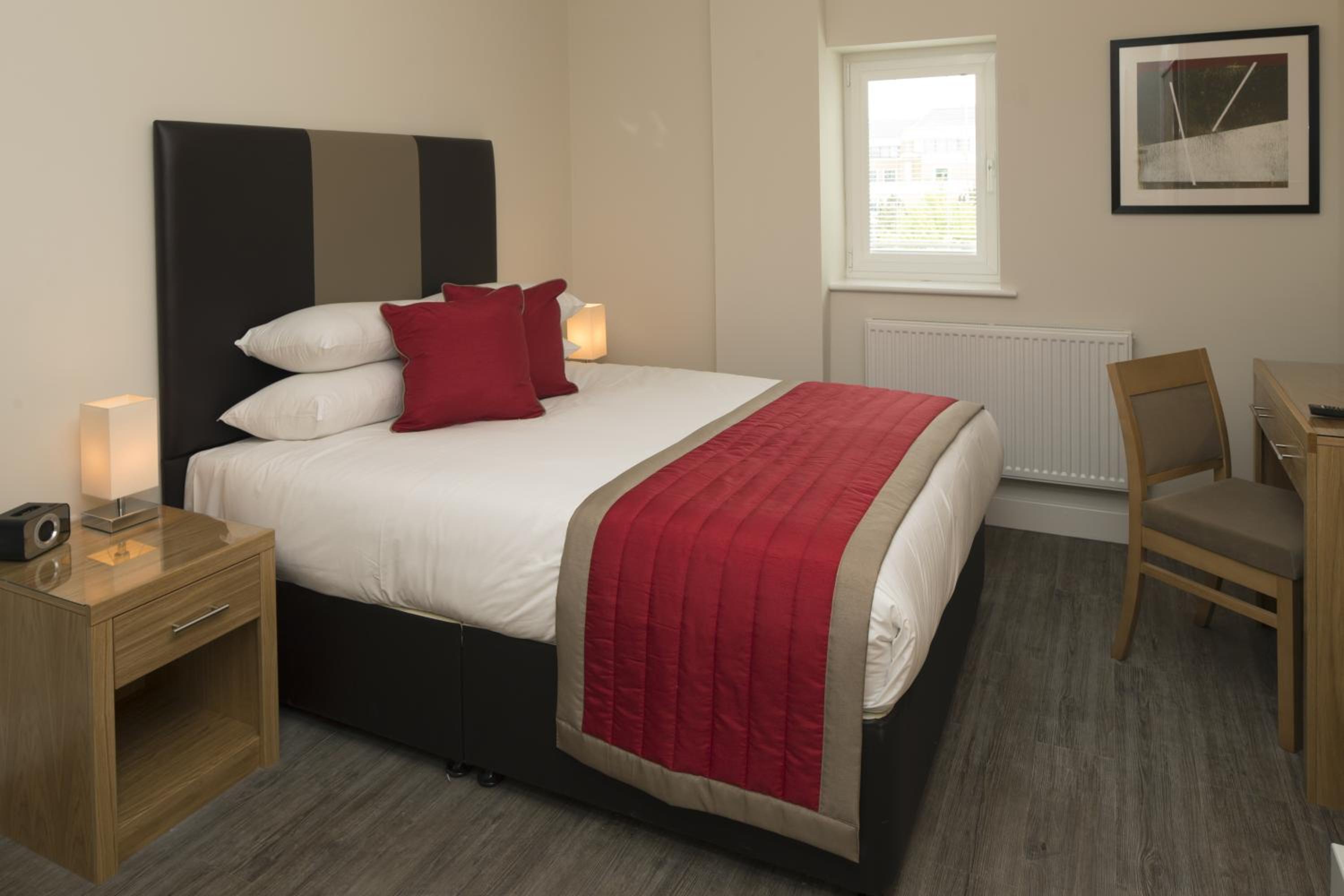 Standard One-Bedroom Apartment photo 3