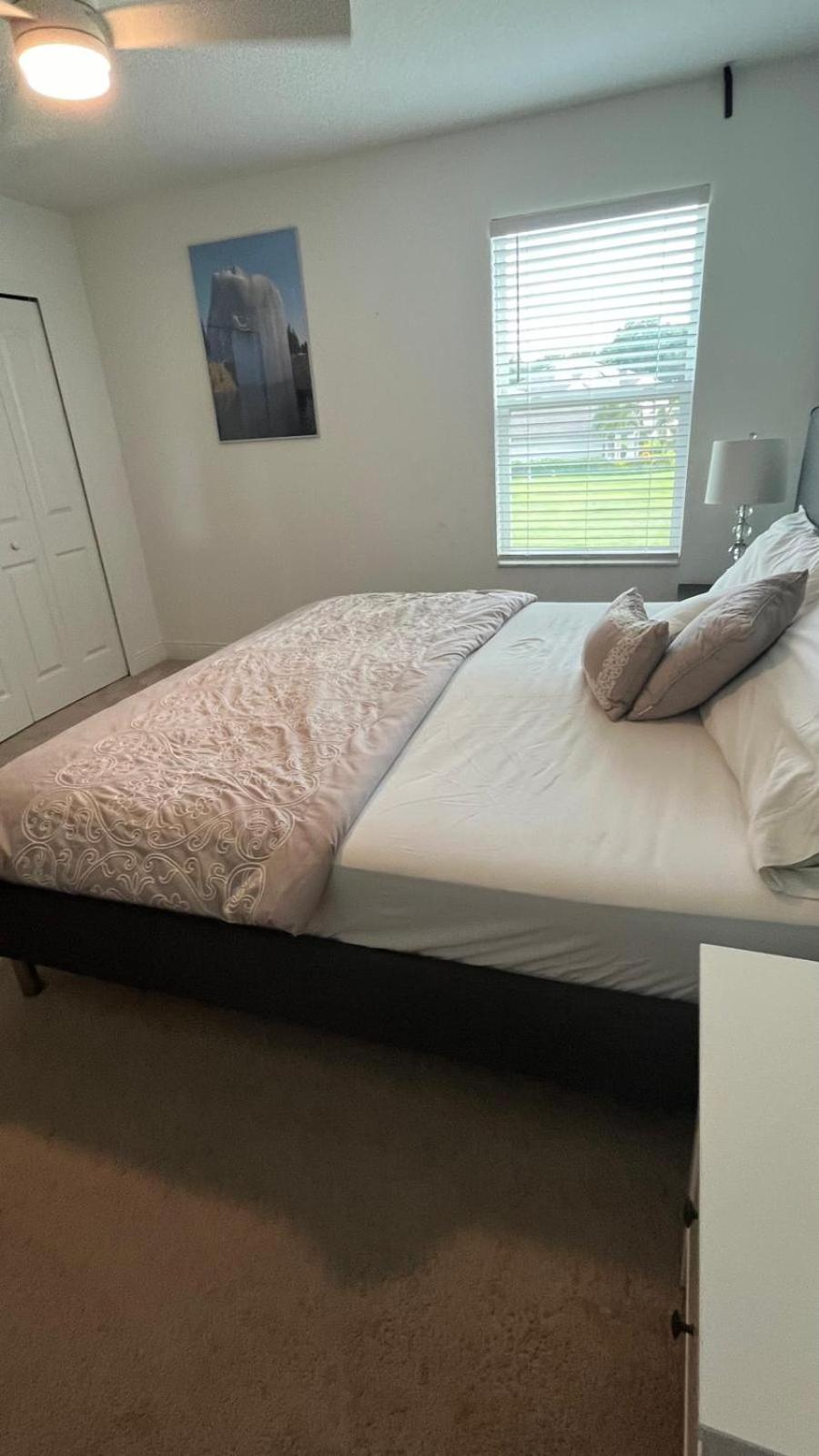 Superior King Room photo 3