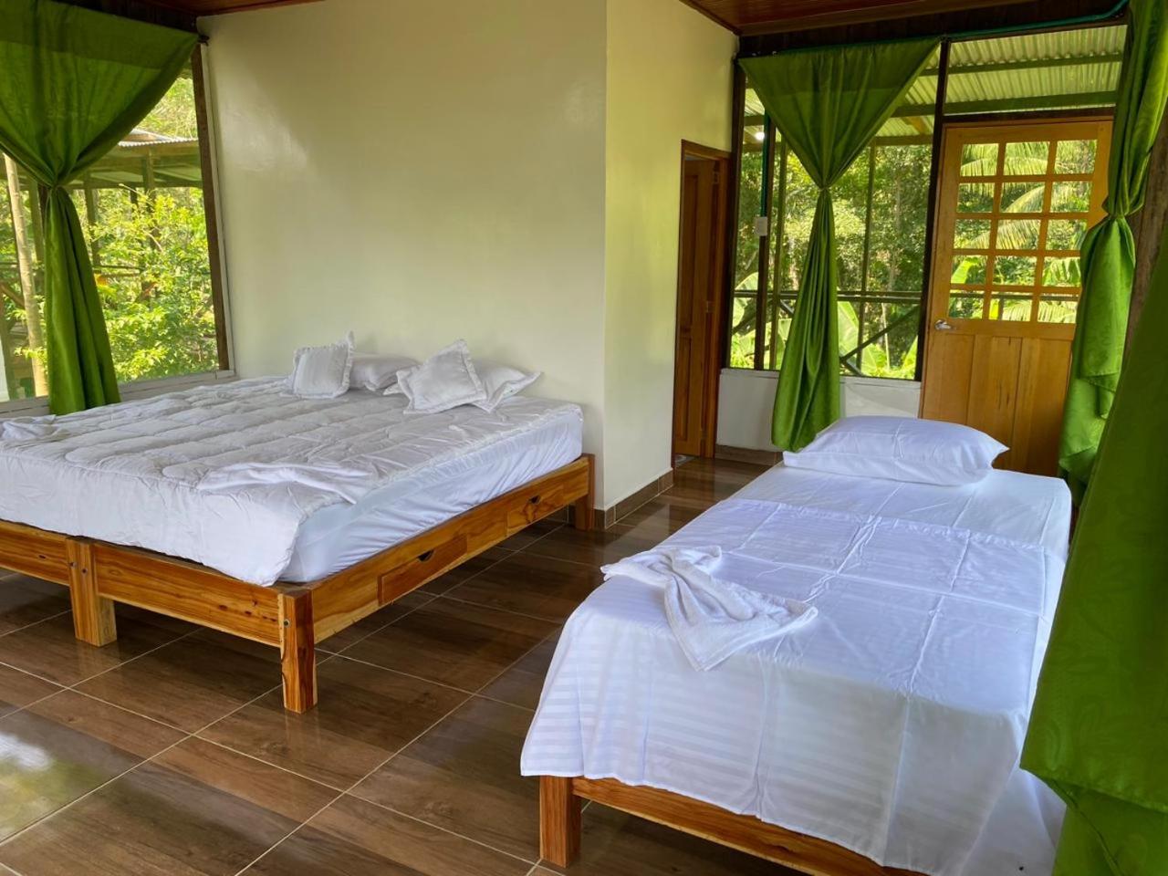 Double or Twin Room photo 1