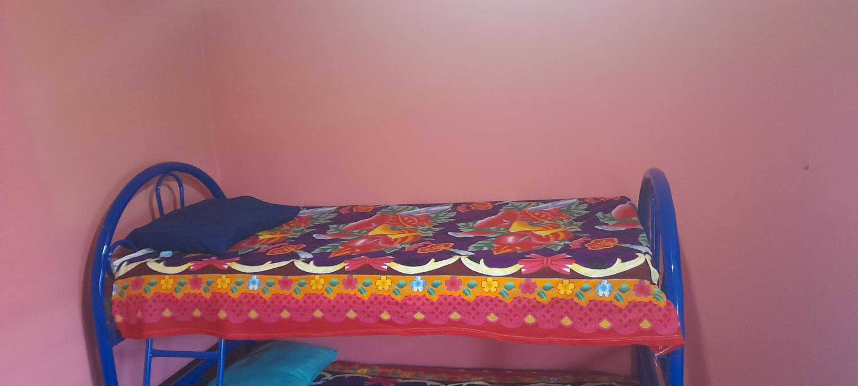Bunk Bed In Mixed Dormitory Room photo 1